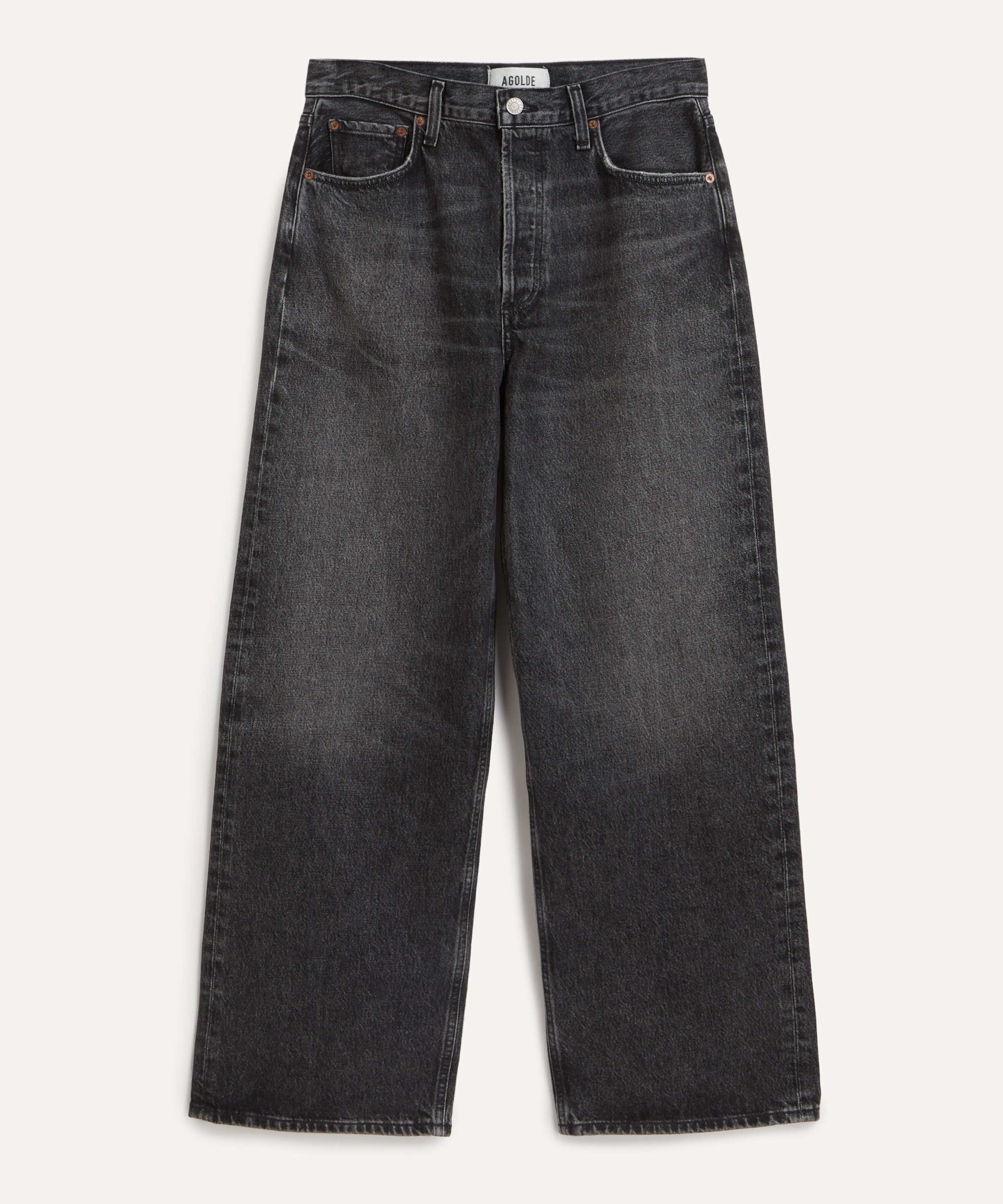 AGOLDE - Low Slung Baggy 30.5” Jeans in Ditch