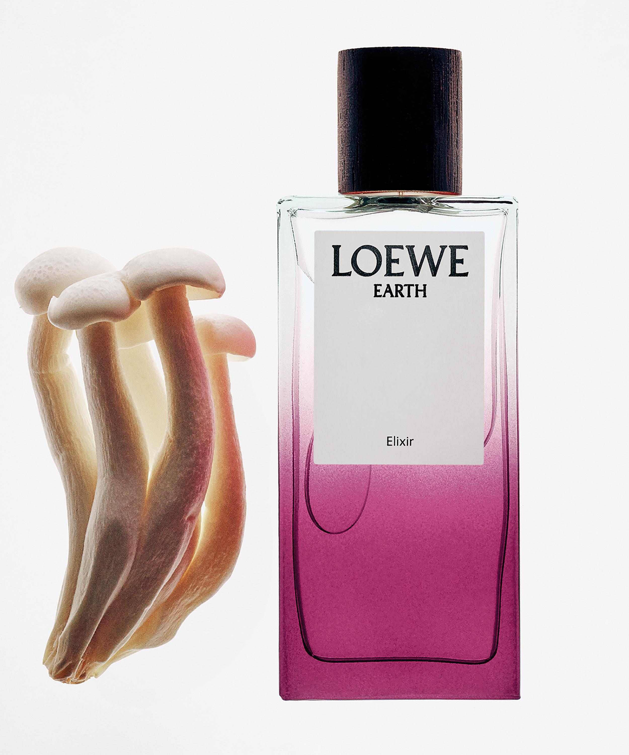 Loewe - Earth Elixir 100ml image number 3