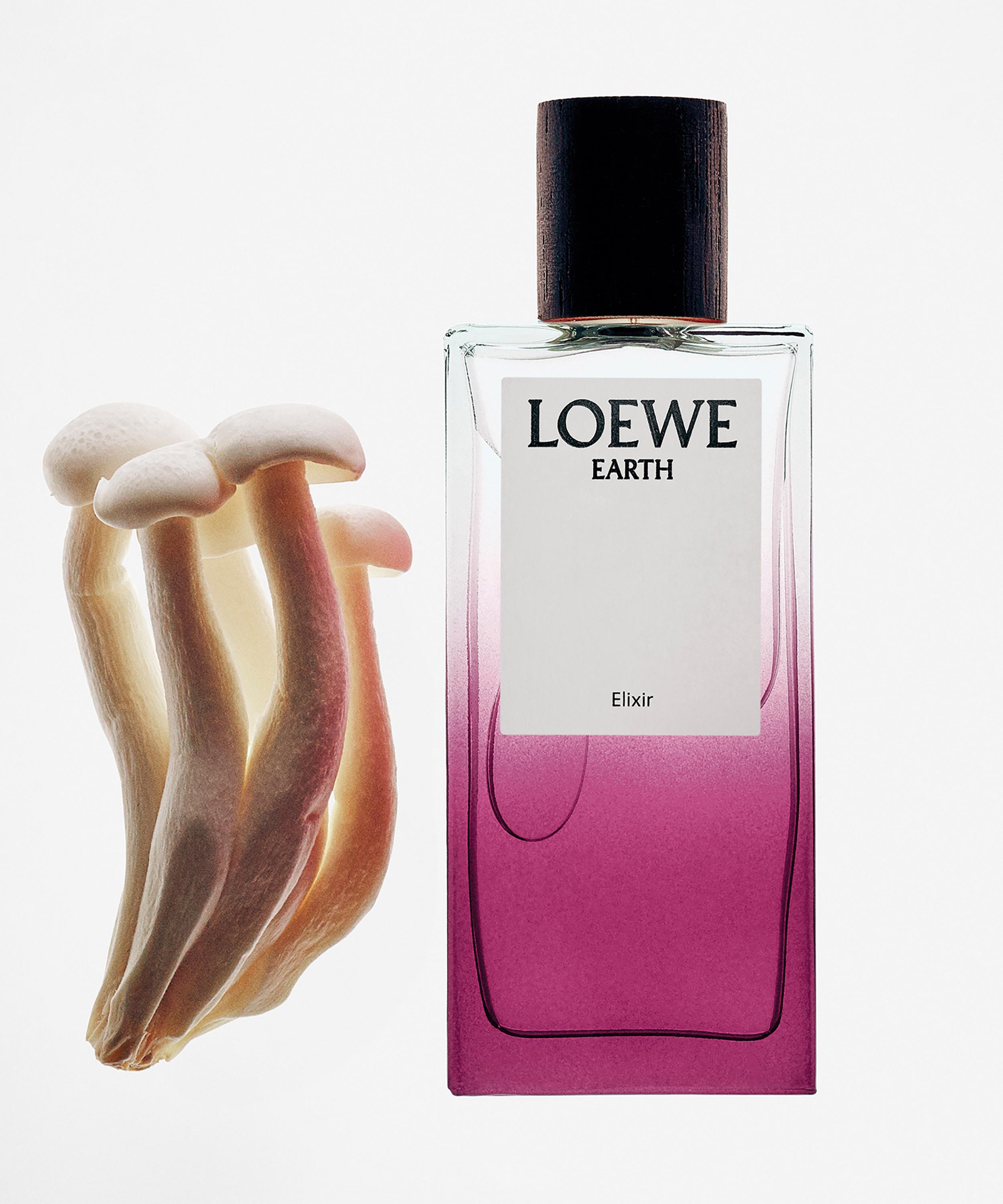 Loewe - Earth Elixir 50ml image number 3