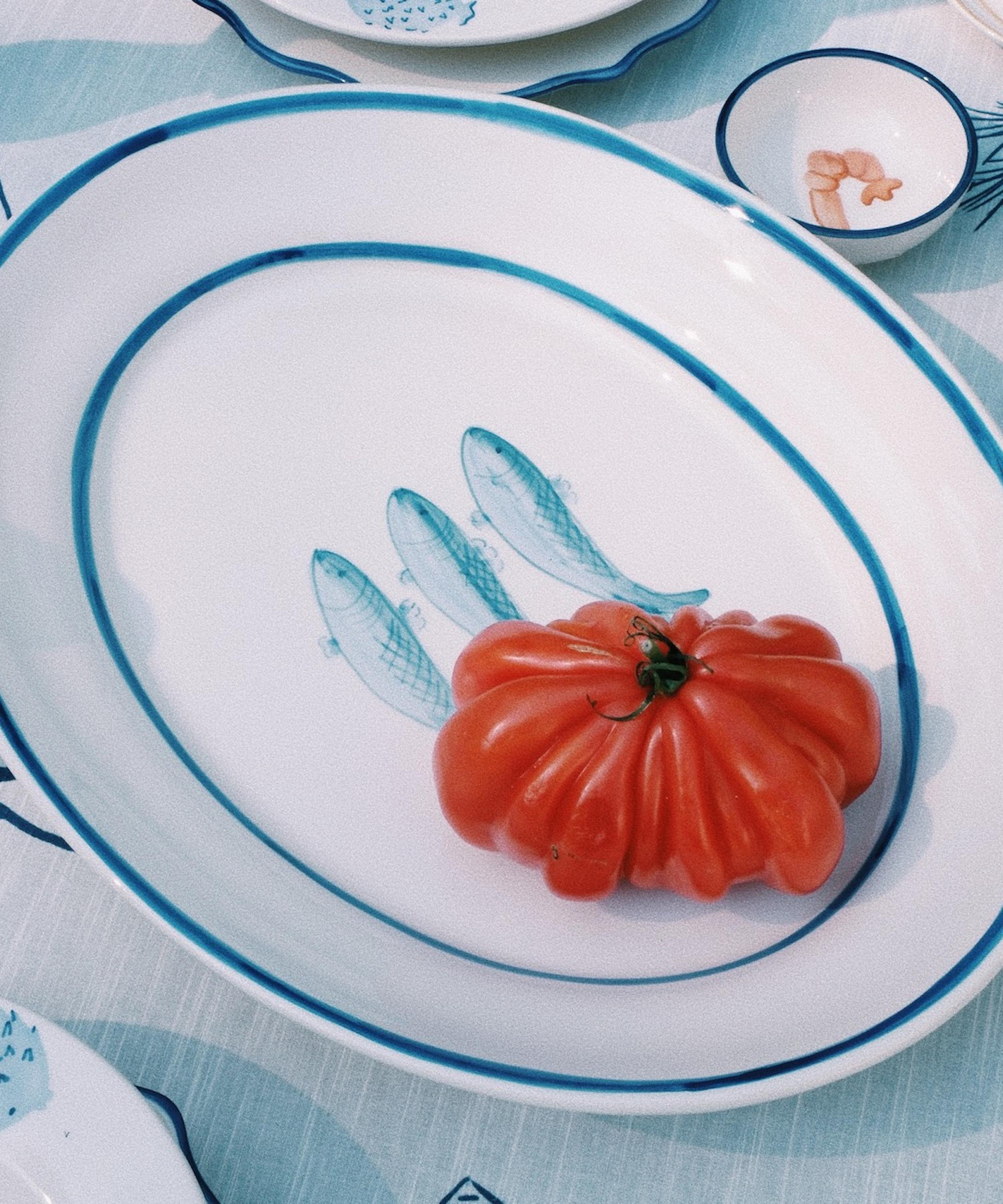 Anna + Nina - Sardine Serving Platter image number 3