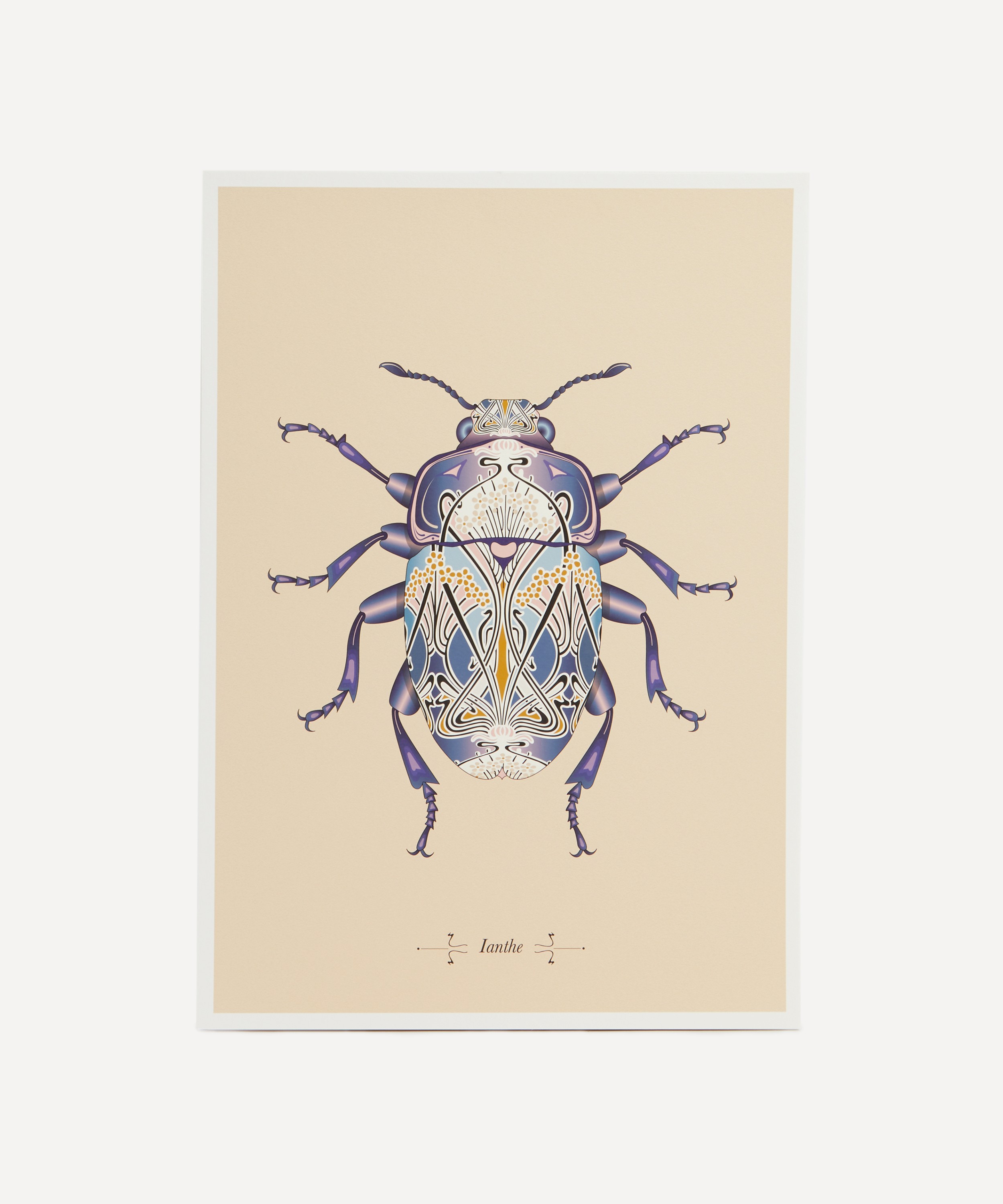 Konstantinos Chalaris - A3 Ianthe Beetle Print