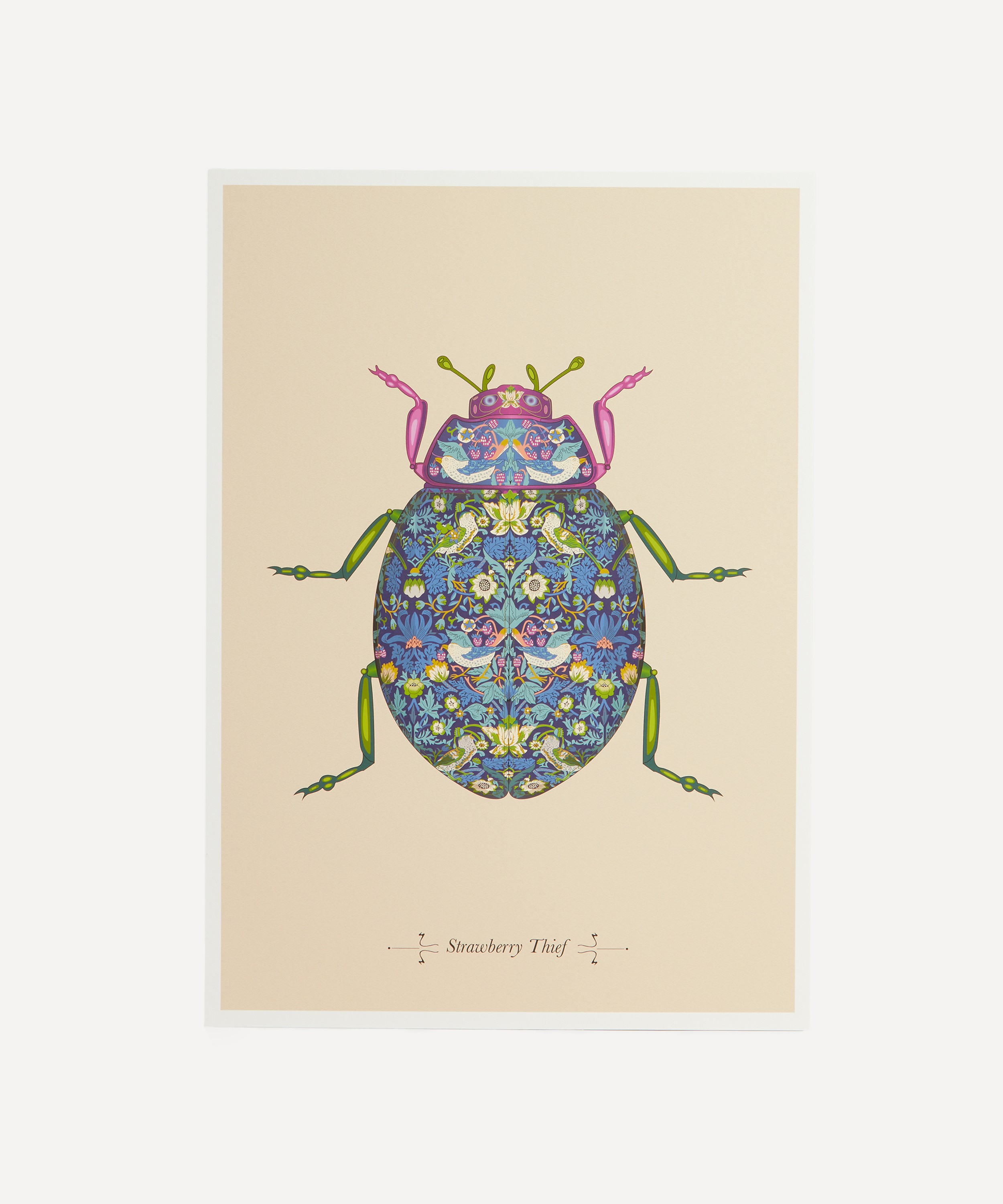 Konstantinos Chalaris - A3 Strawberry Thief Ladybird Print image number 0