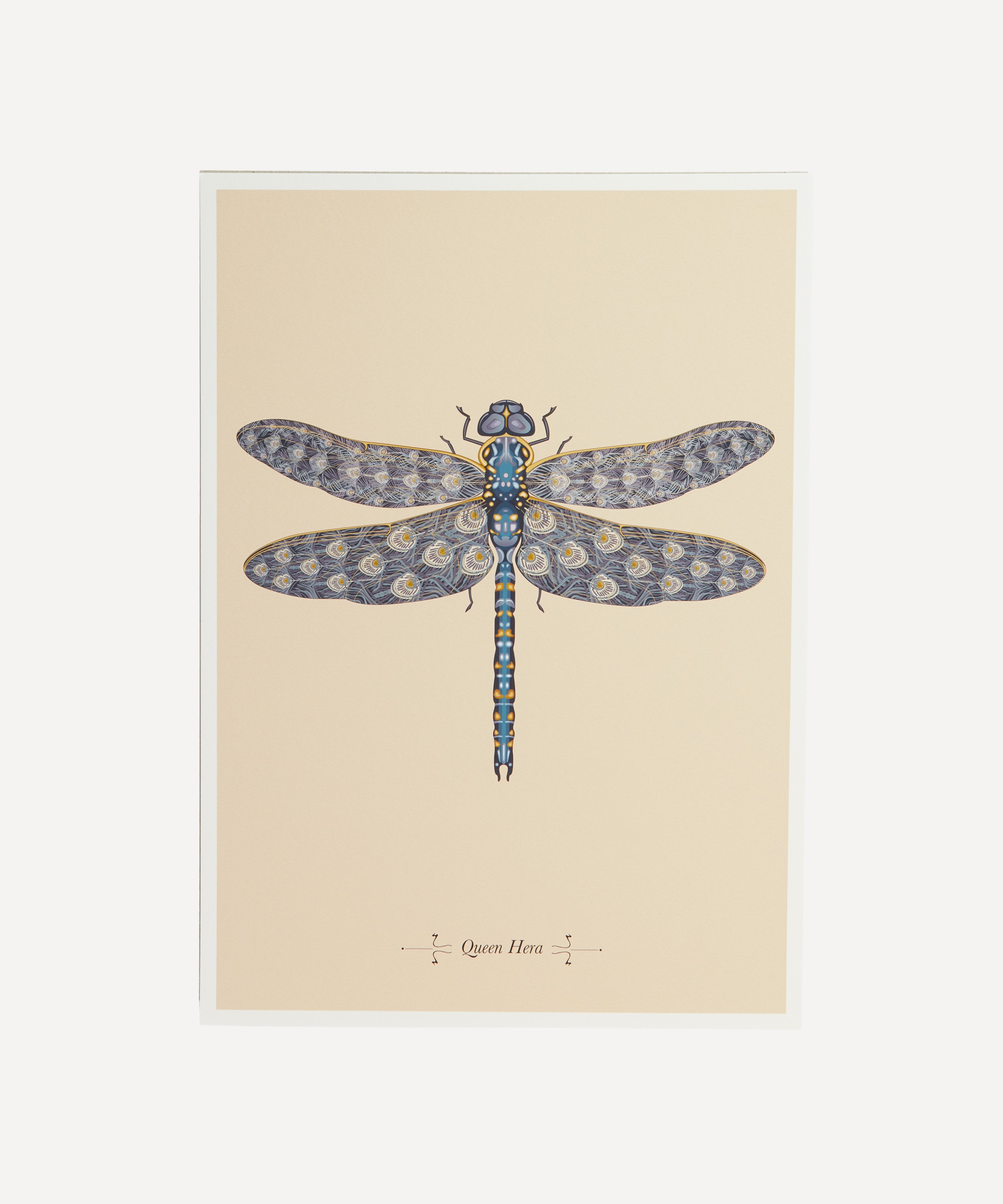 Konstantinos Chalaris - A3 Queen Hera Dragonfly Print