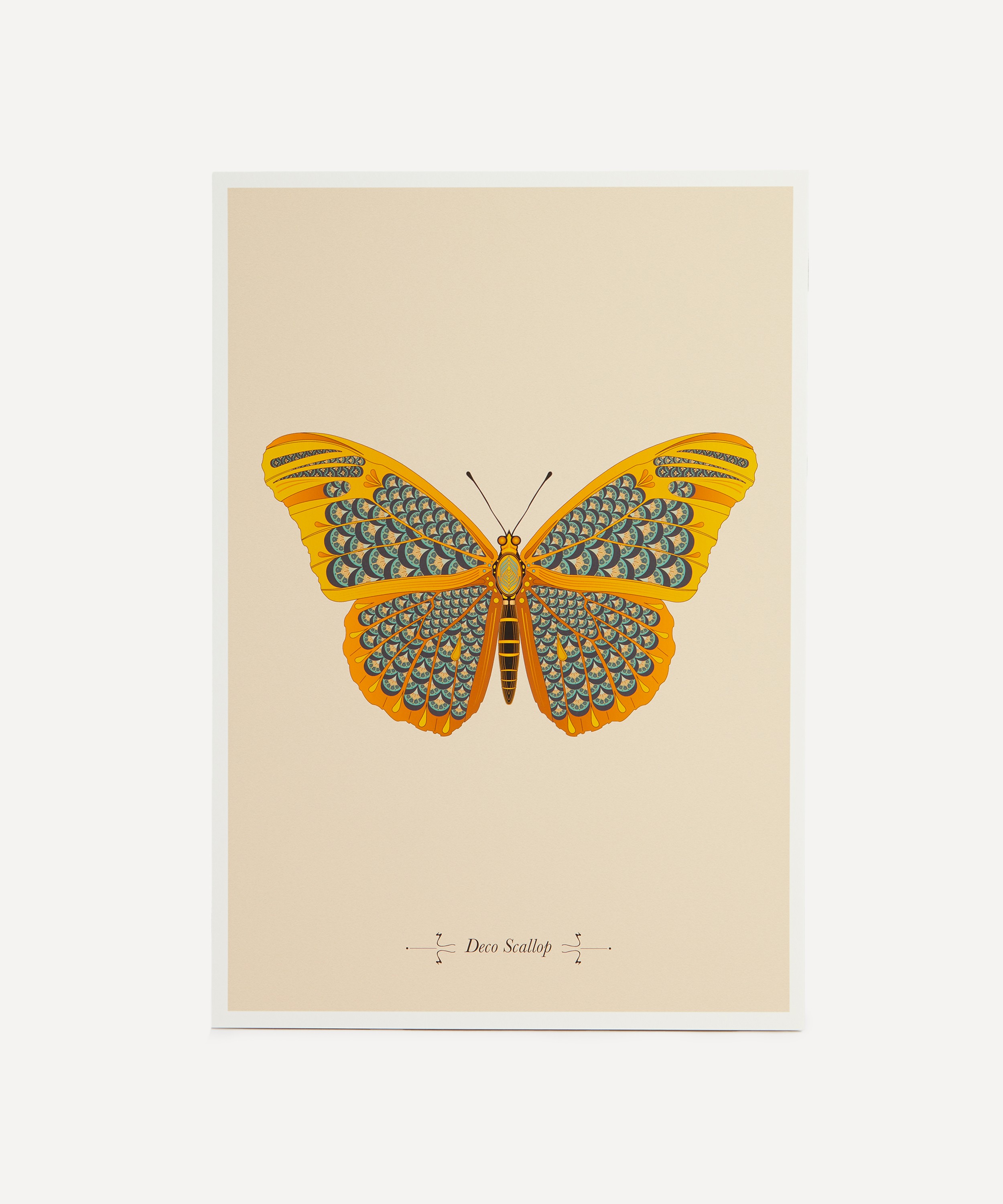 Konstantinos Chalaris - A3 Deco Scallop Butterfly Print image number 0