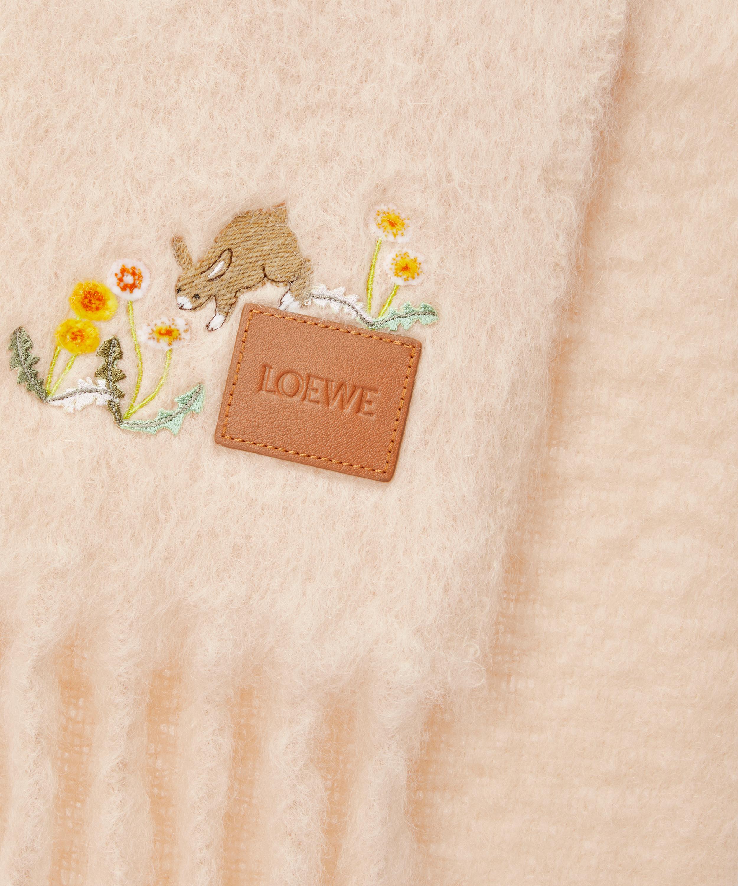 Loewe - Light Peach Bunny Mohair-Blend Scarf image number 1