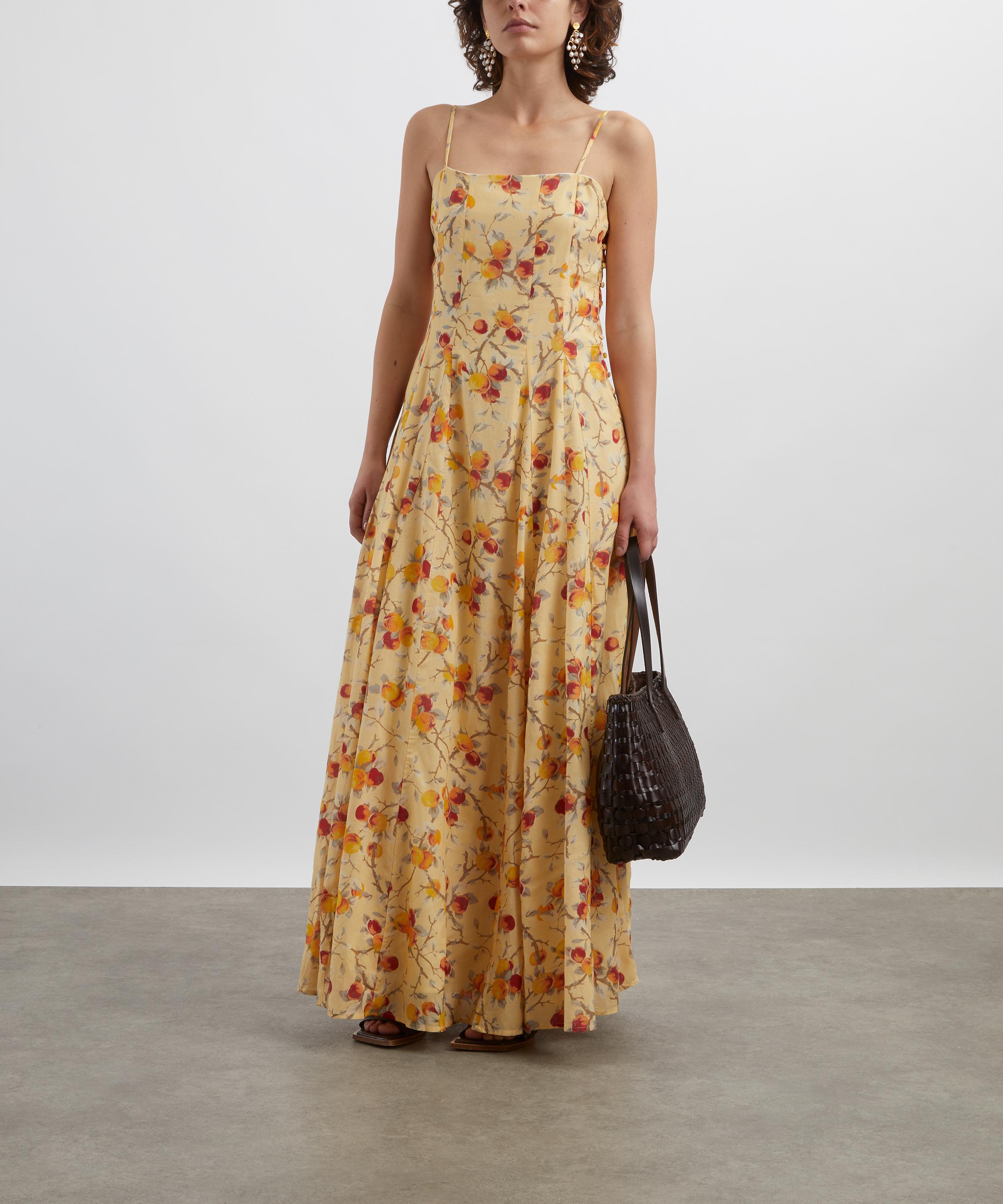Posse - Paloma Printed Maxi Dress image number 1