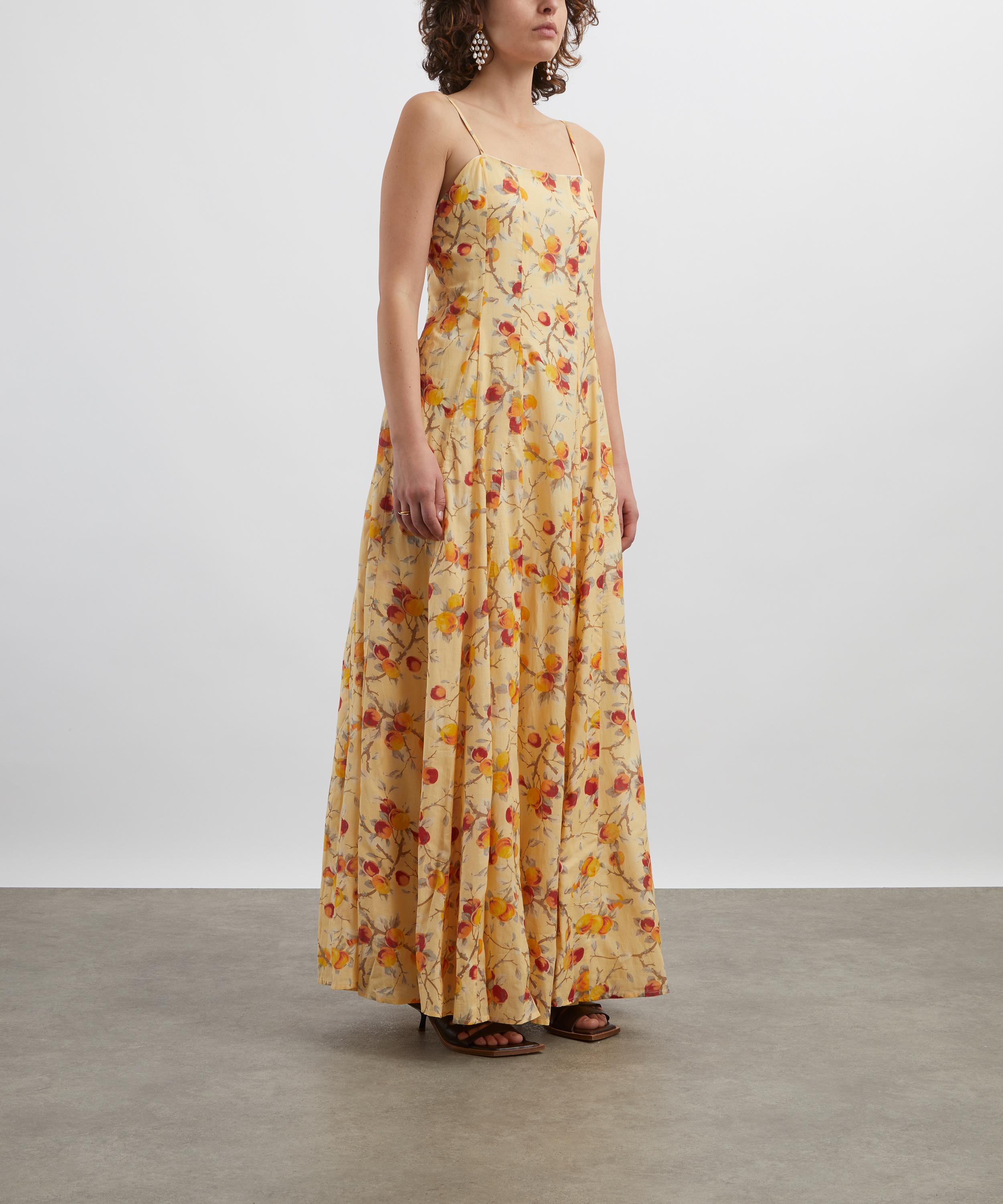 Posse - Paloma Printed Maxi Dress image number 2