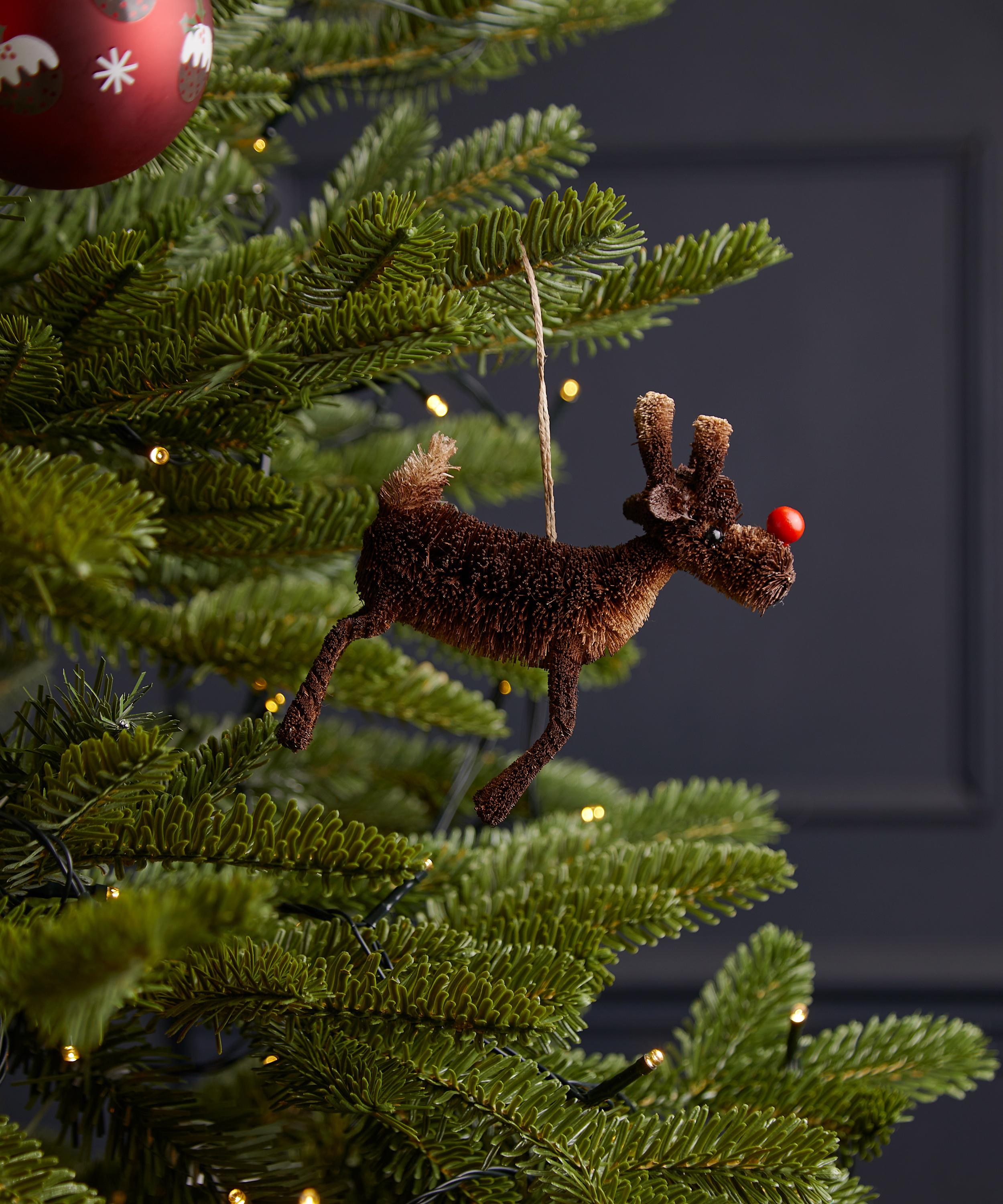 Christmas - Red Nosed Reindeer Ornament image number 1