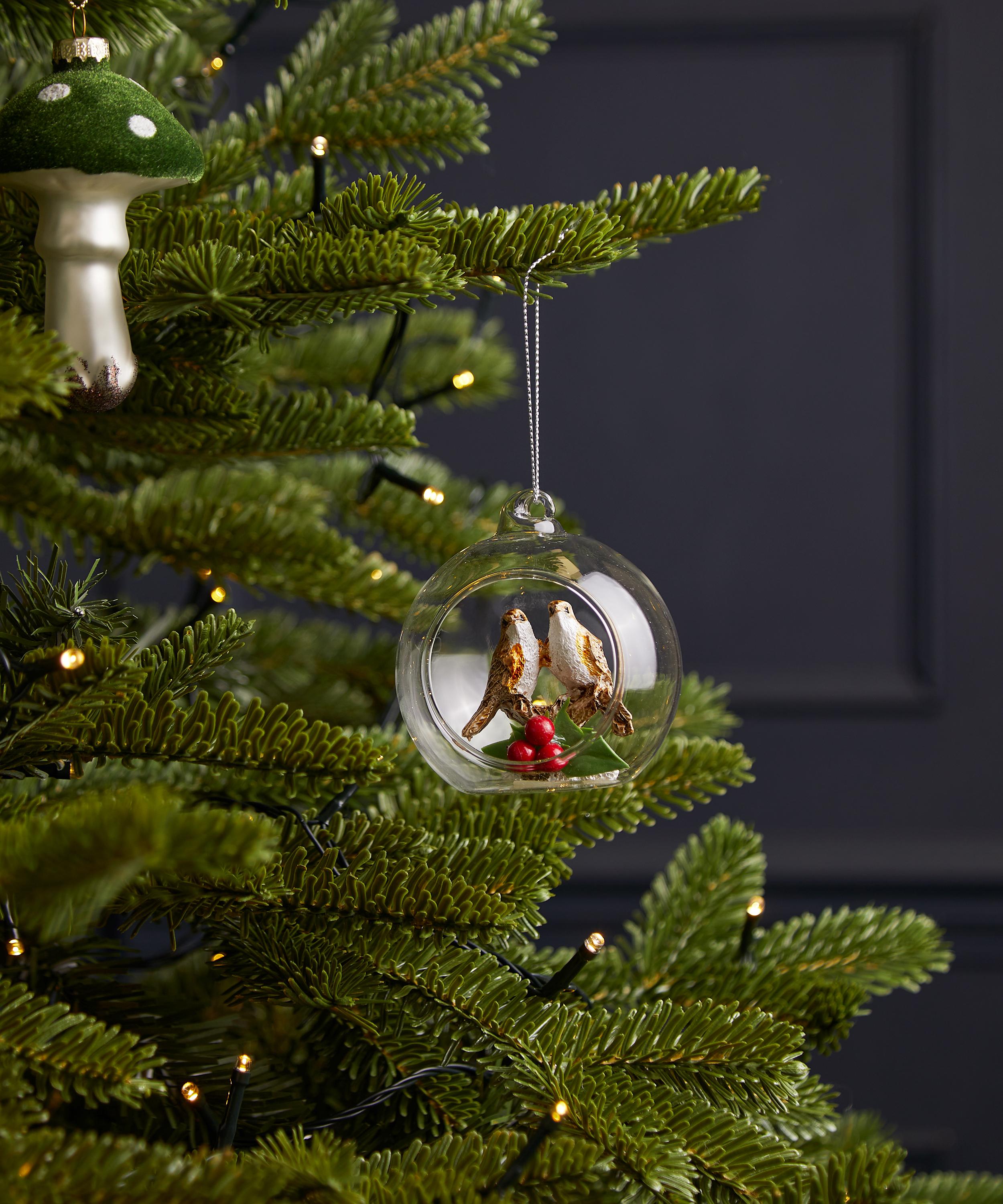Christmas - Robin Inside Clear Bauble image number 1