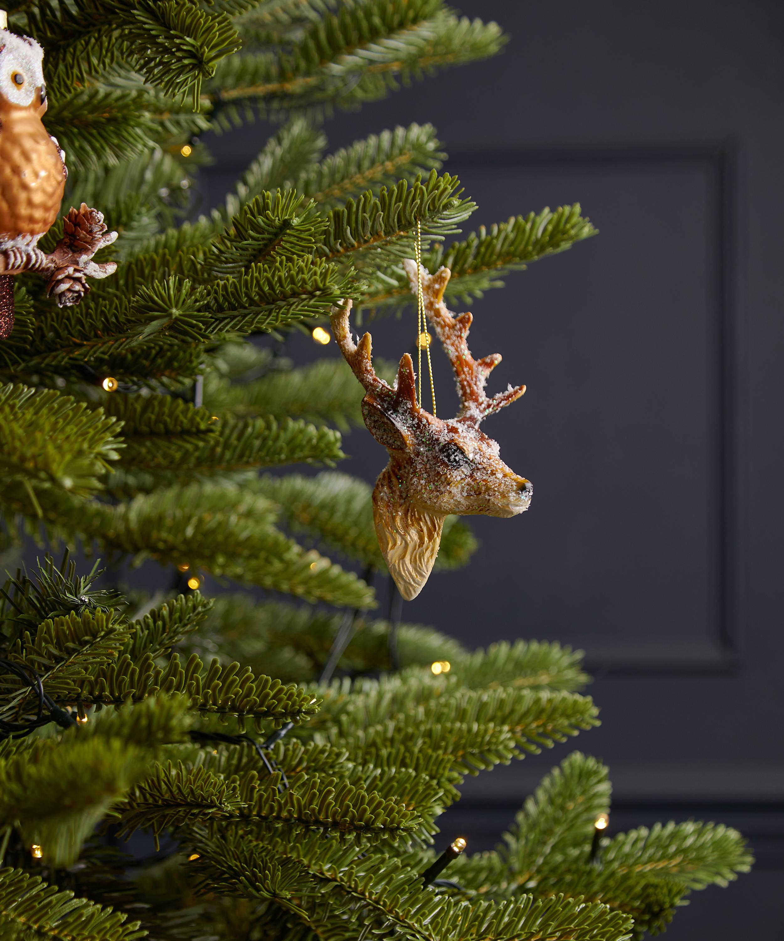 Christmas - Reindeer Head Ornament image number 1