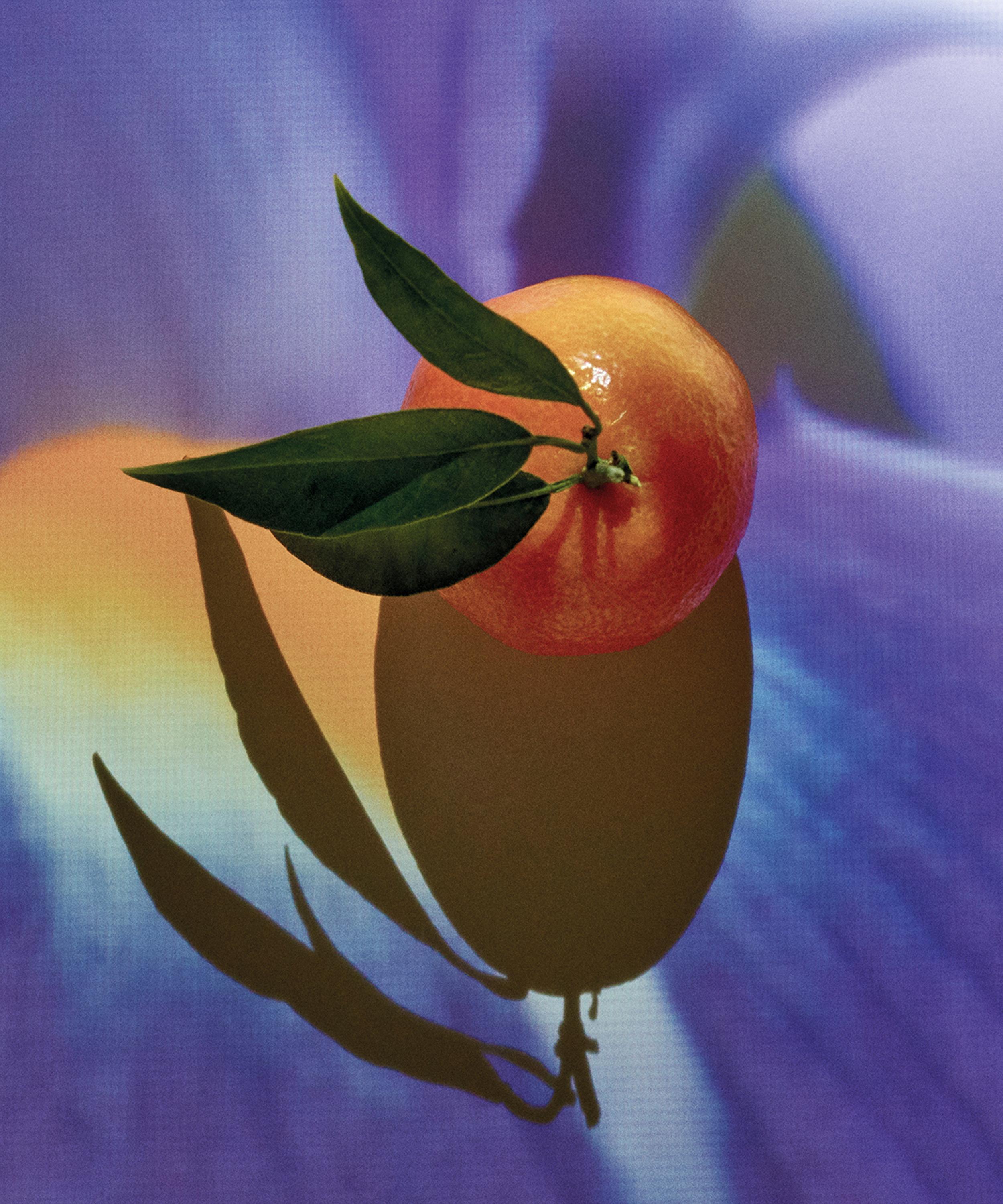 Loewe - Solo Elixir Eau de Parfum 50ml image number 2