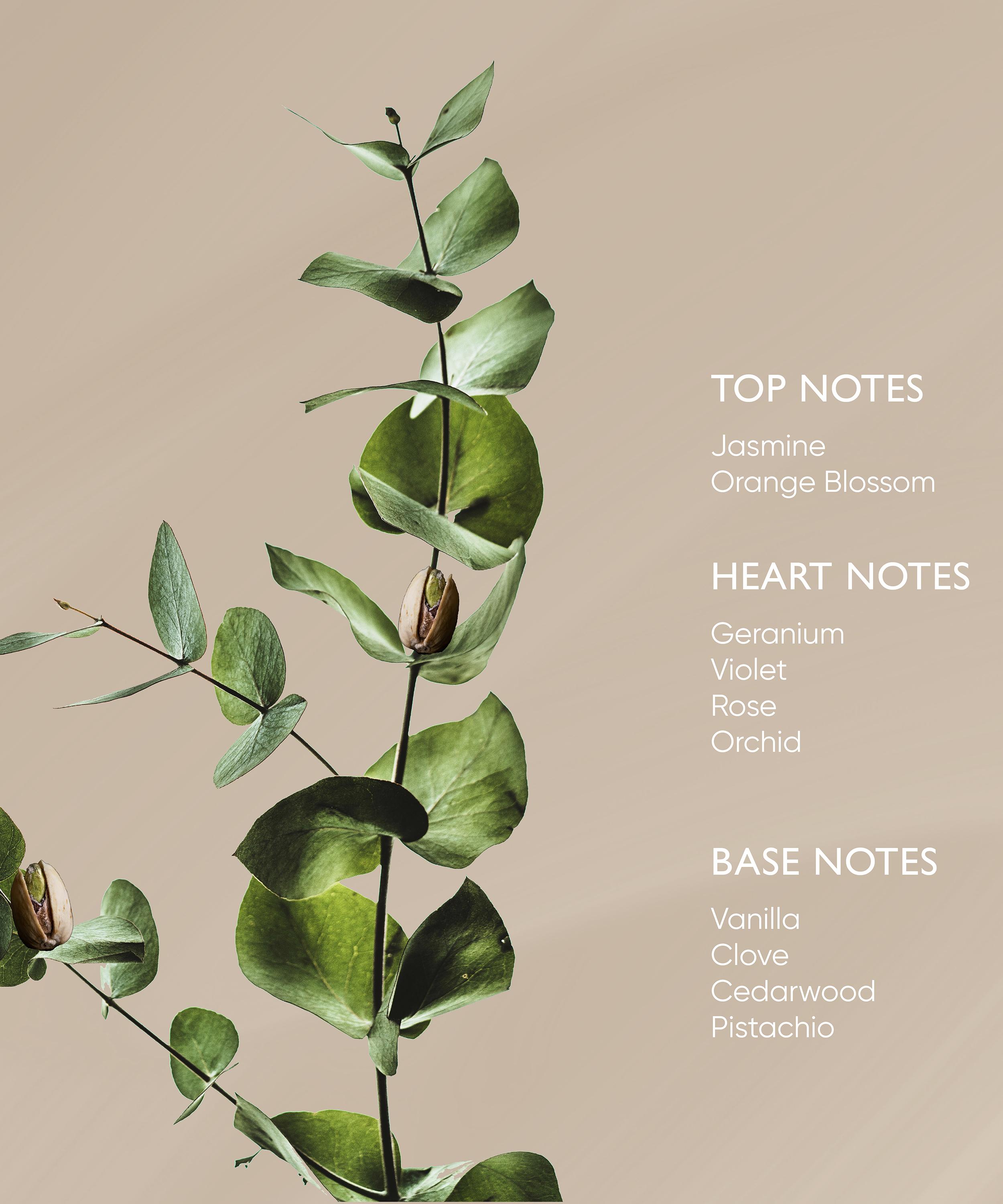 Irene Forte - Pistachio Body Oil with Phytomelatonin 100ml image number 4