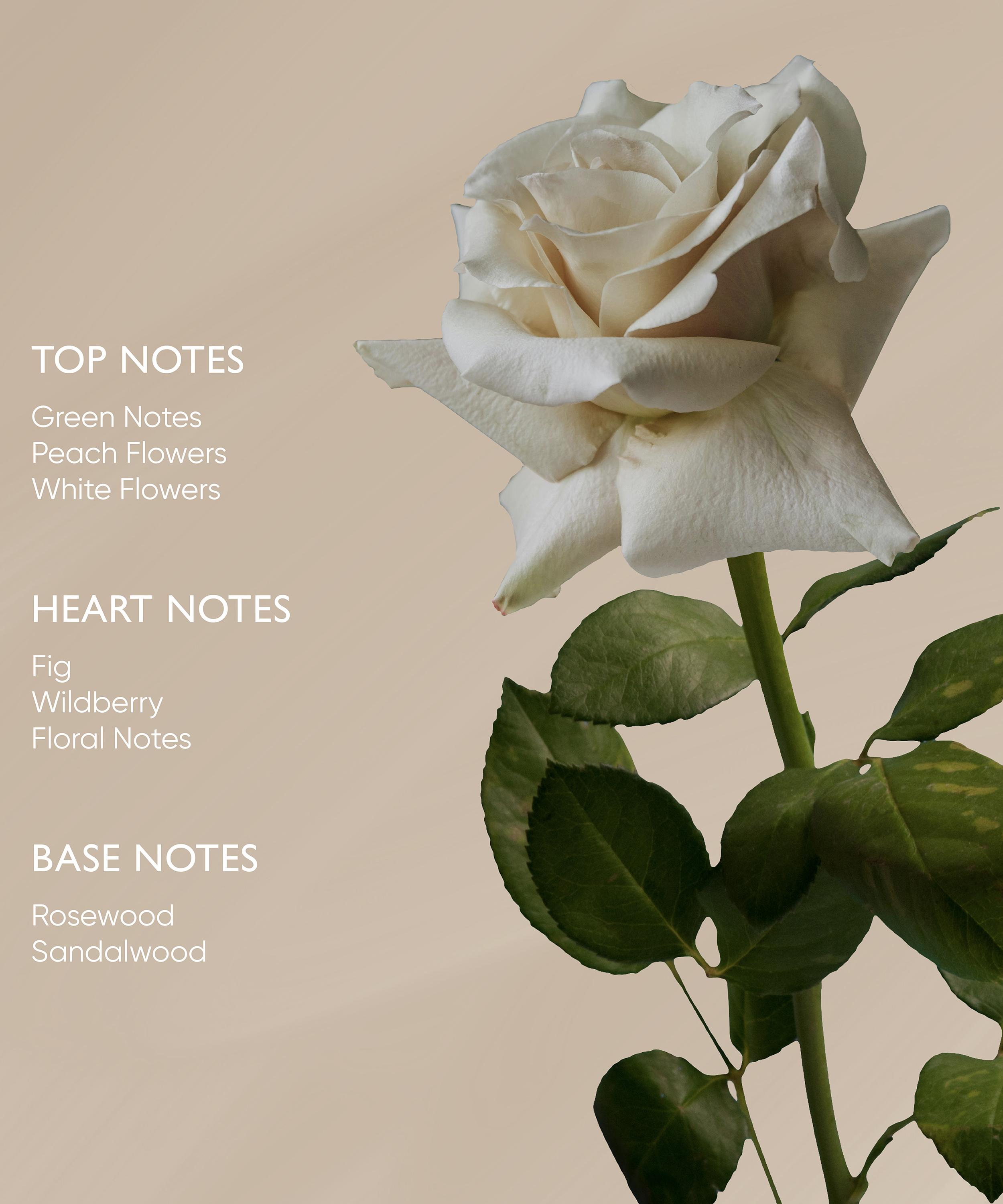 Irene Forte - Rose Body Oil with Ximenyic Acid 100ml image number 4