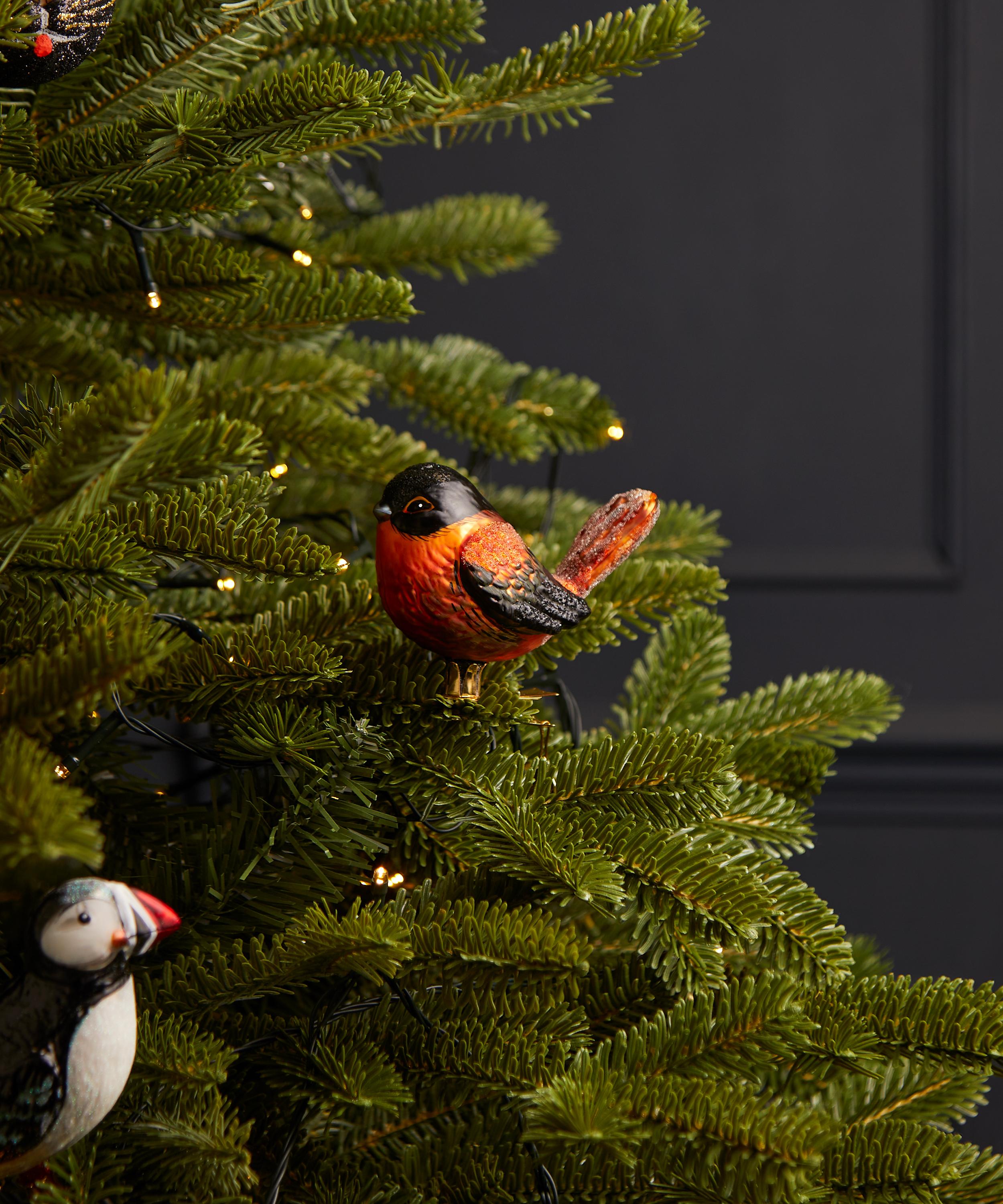 Christmas - Bird with Erected Tail Glass Ornament image number 1