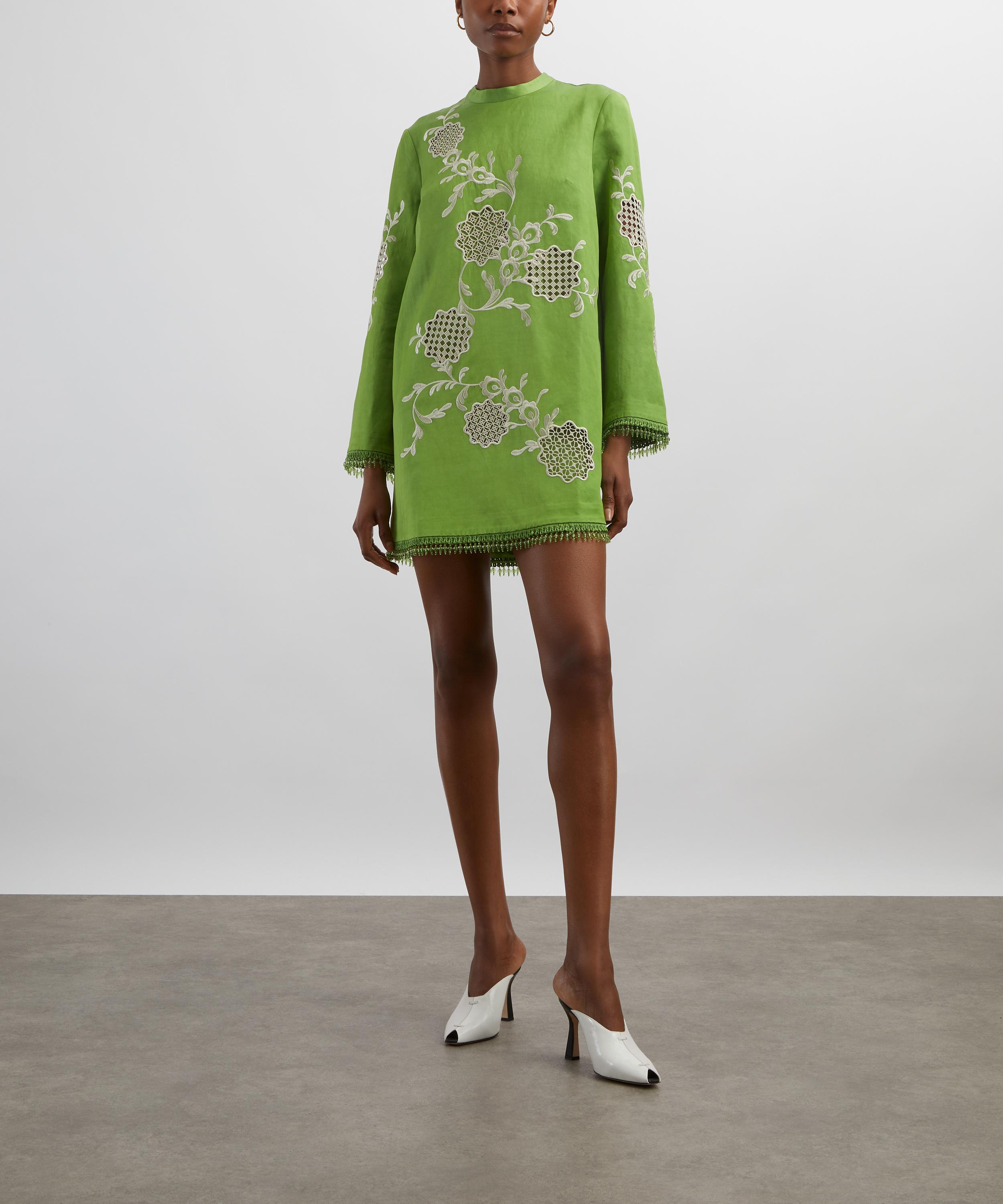 ALÉMAIS - Luisa Embroidered Mini Dress image number 1