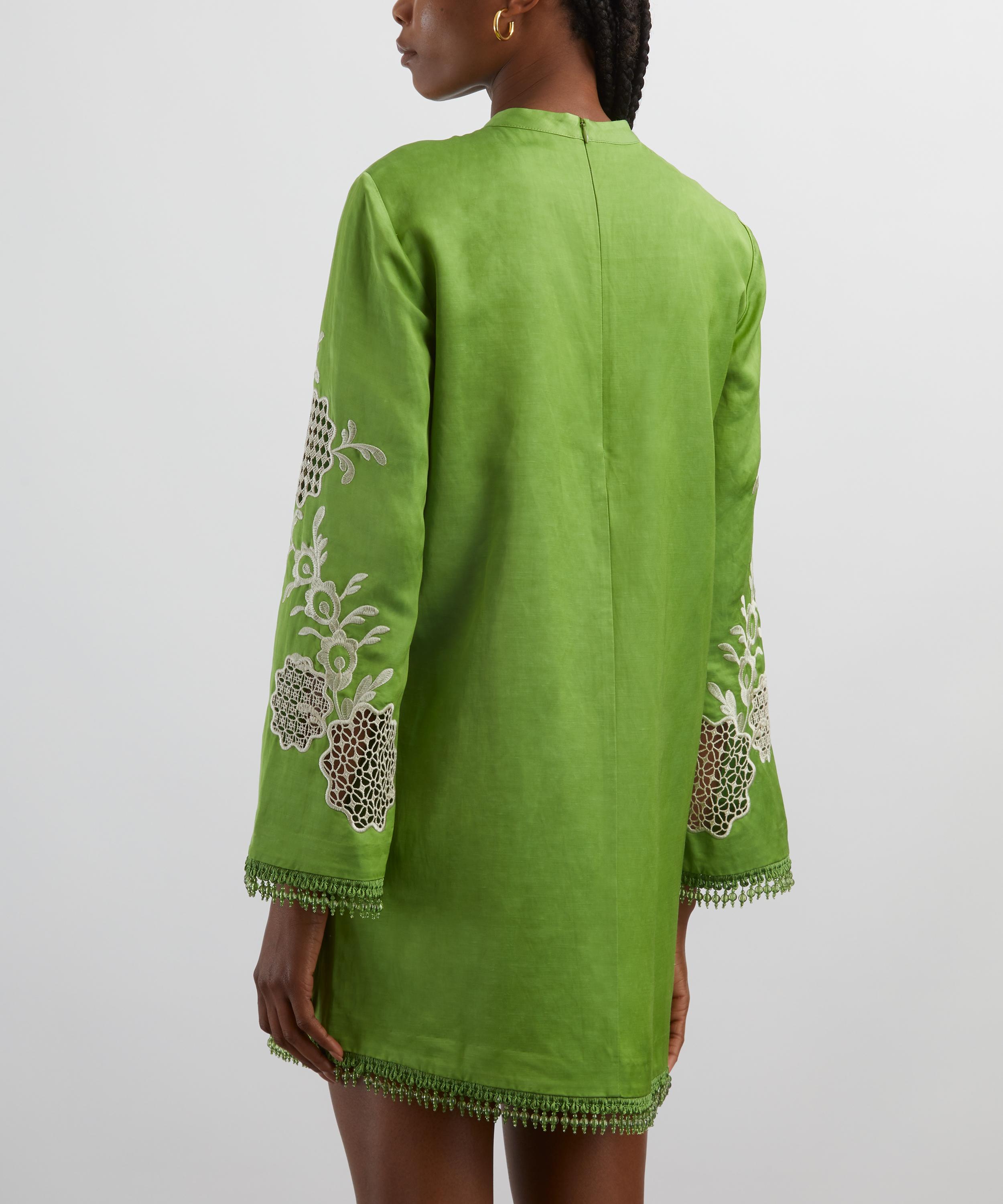ALÉMAIS - Luisa Embroidered Mini Dress image number 3