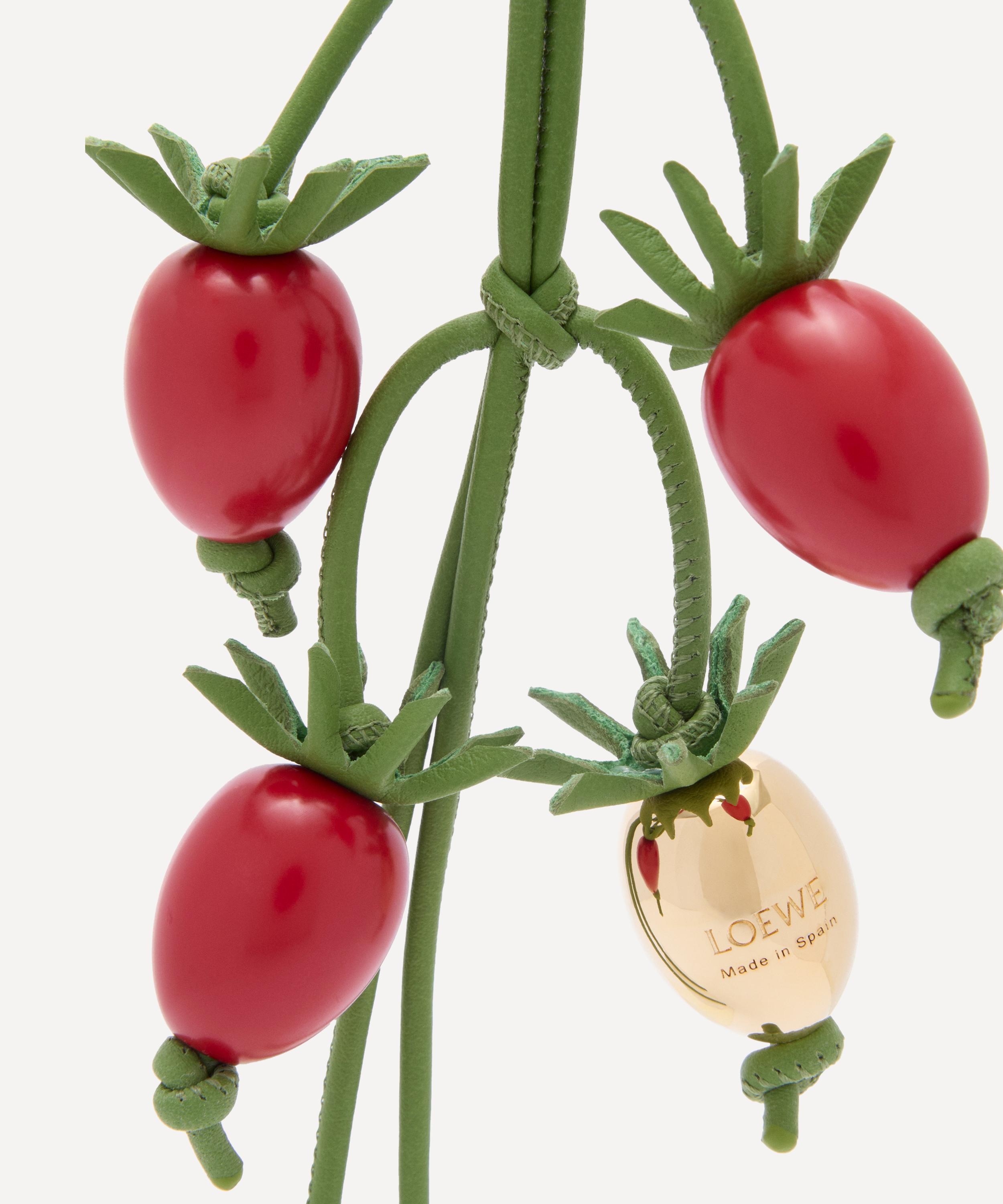 Loewe - x Paula's Ibiza Tomato Vine Bag Charm image number 1