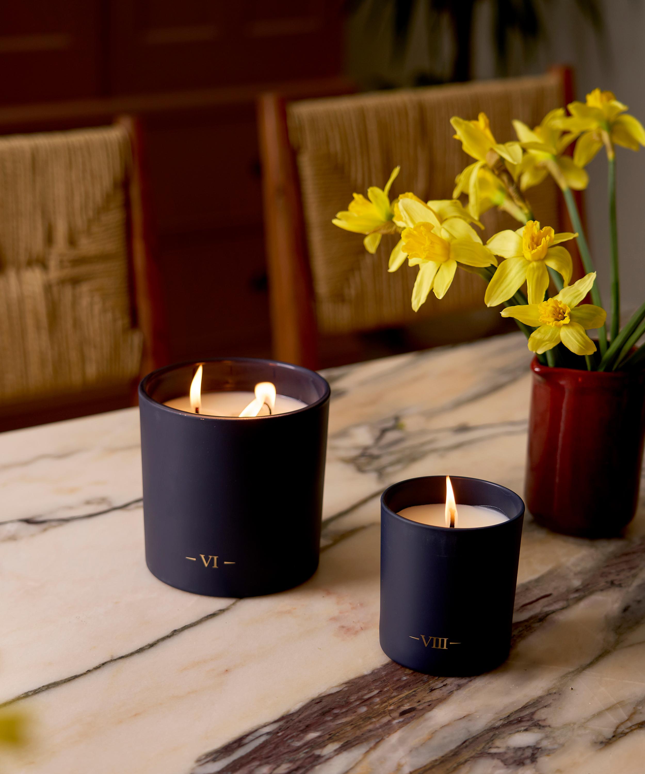 Charles Farris - VI Garden Of Eden 3 Wick Candle 640g image number 4