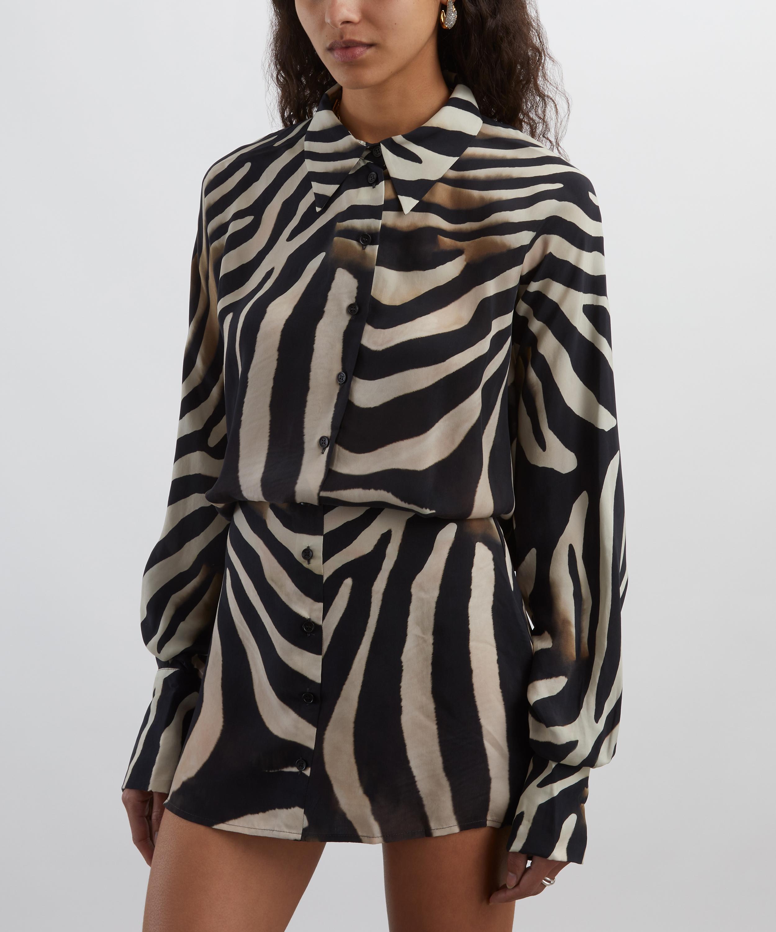 Rat & Boa - Rhoda Zebra Shirt Dress image number 2