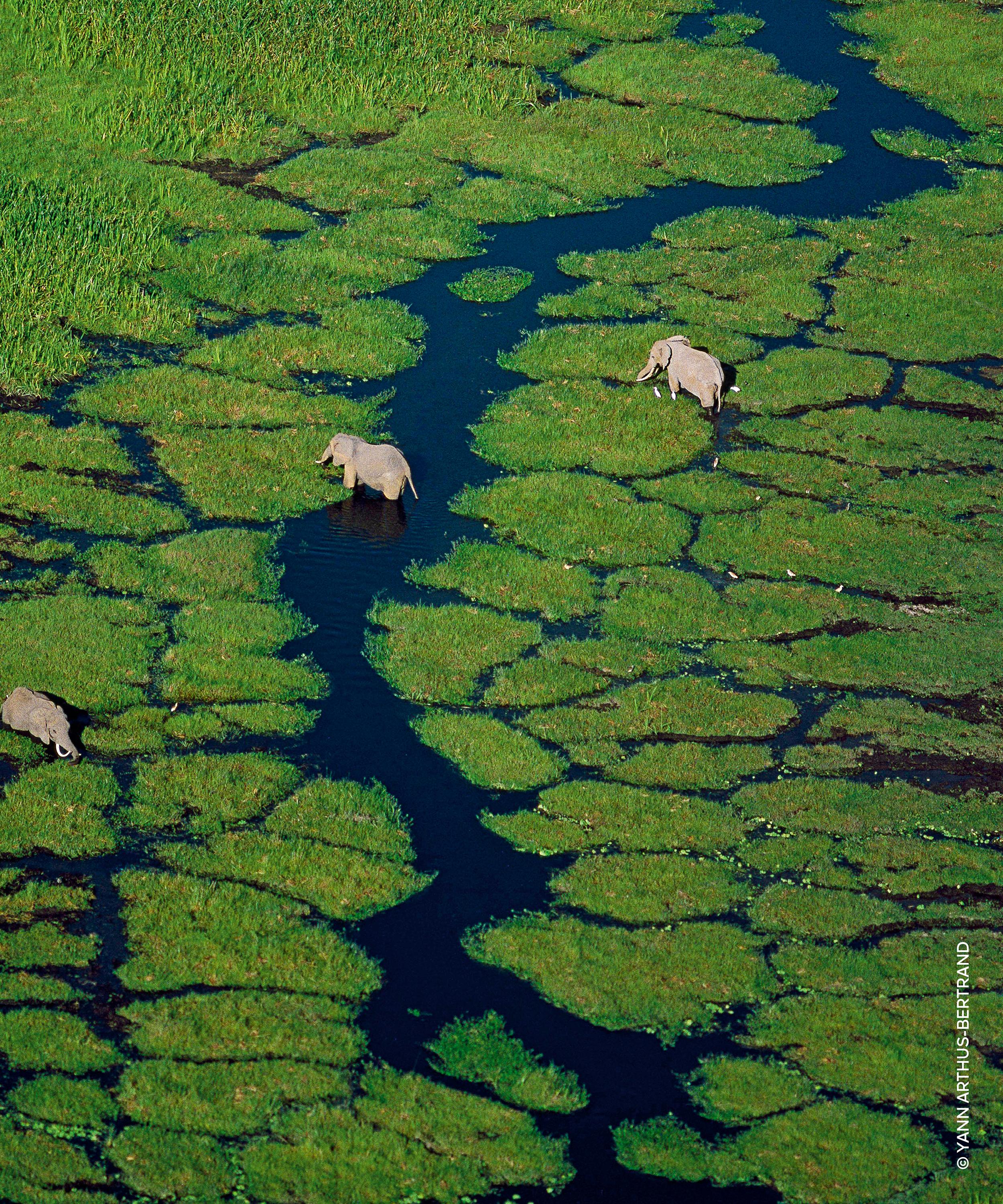 Guerlain - Aqua Allegoria Nettare Di Sole Eau de Toilette 125ml image number 3