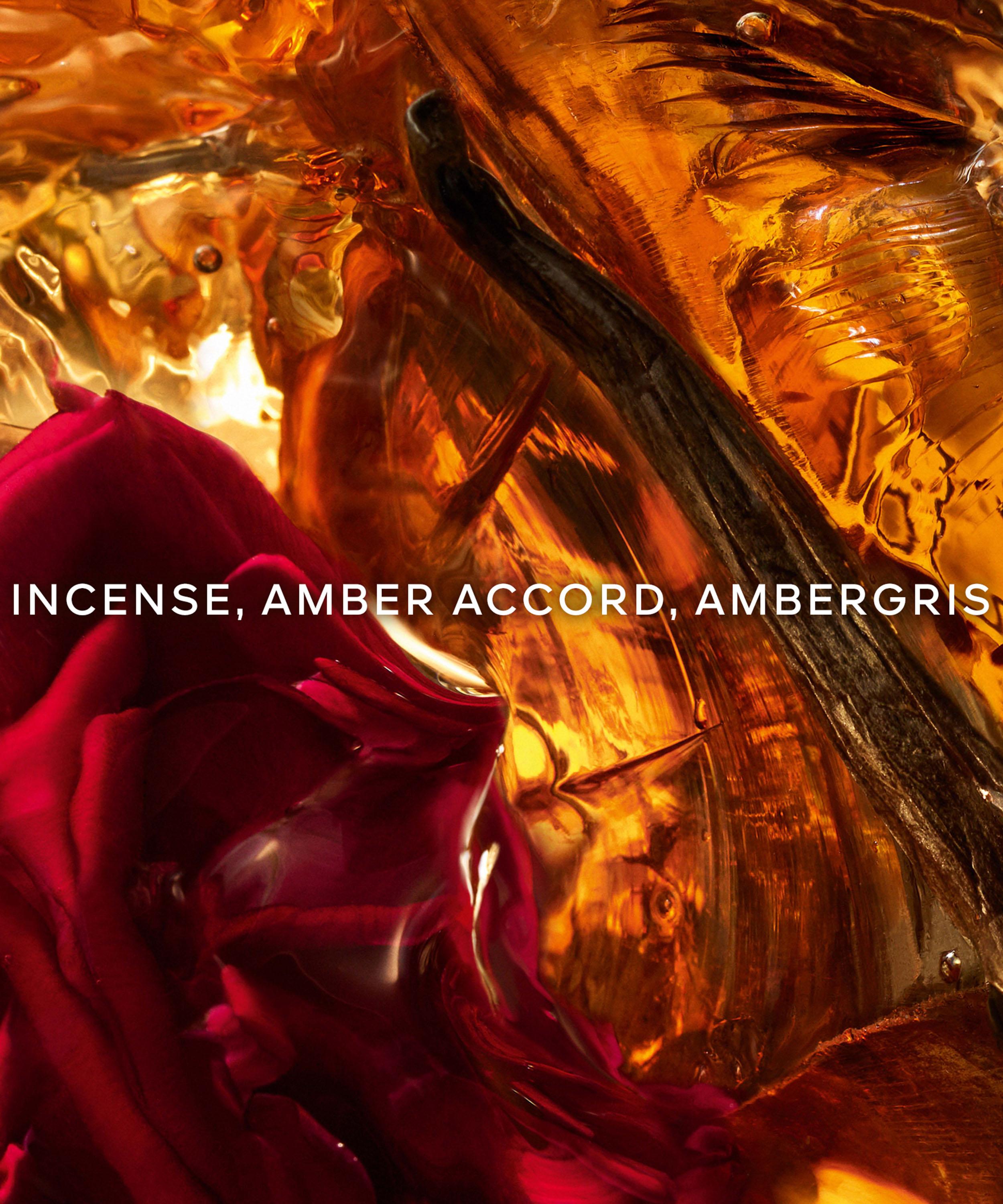 Guerlain - Absolus Allegoria Ambre Samar Eau de Parfum 125ml image number 2