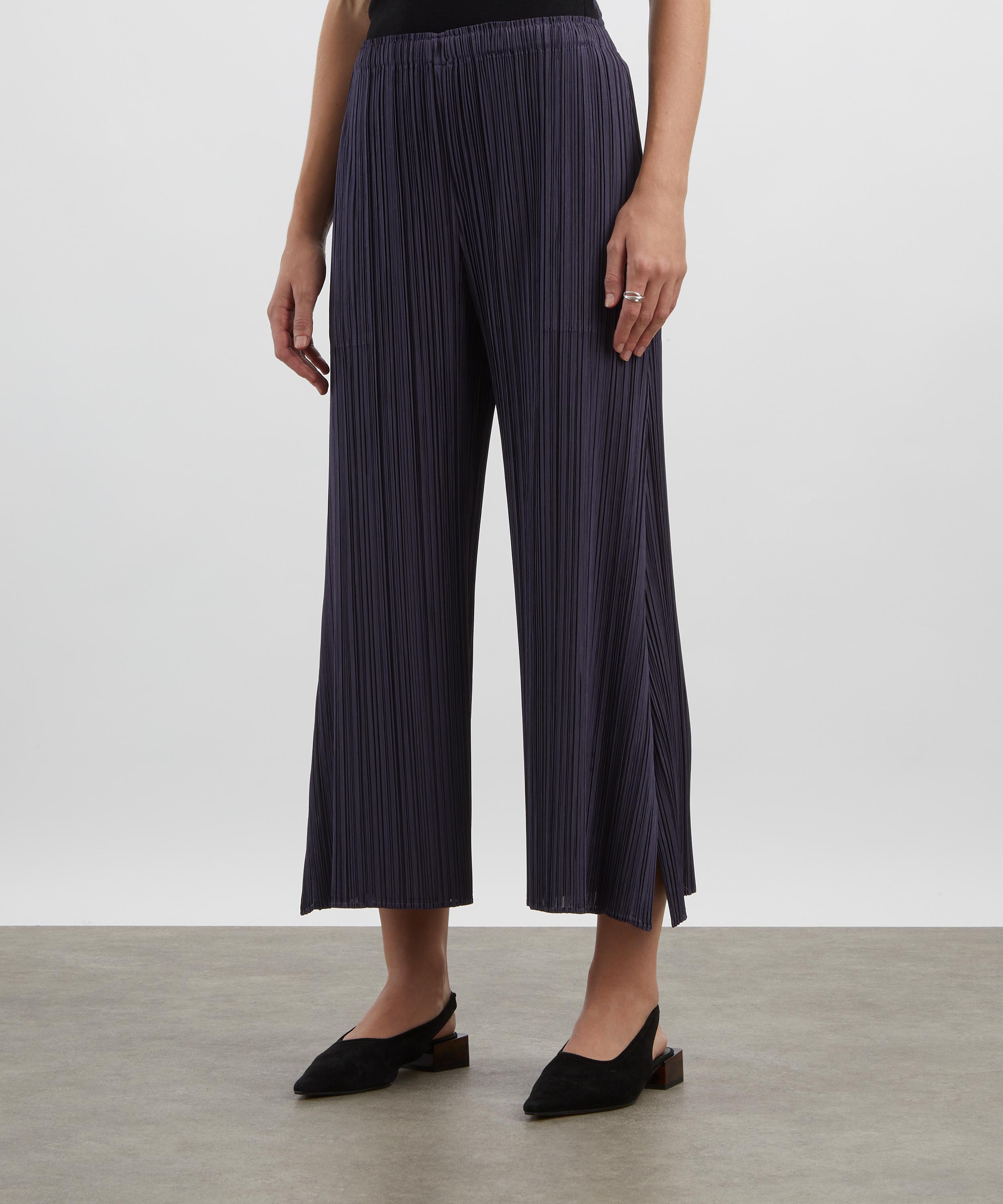 Pleats Please Issey Miyake - MONTHLY COLOURS: JULY Dark Grey Pleated Trousers image number 2