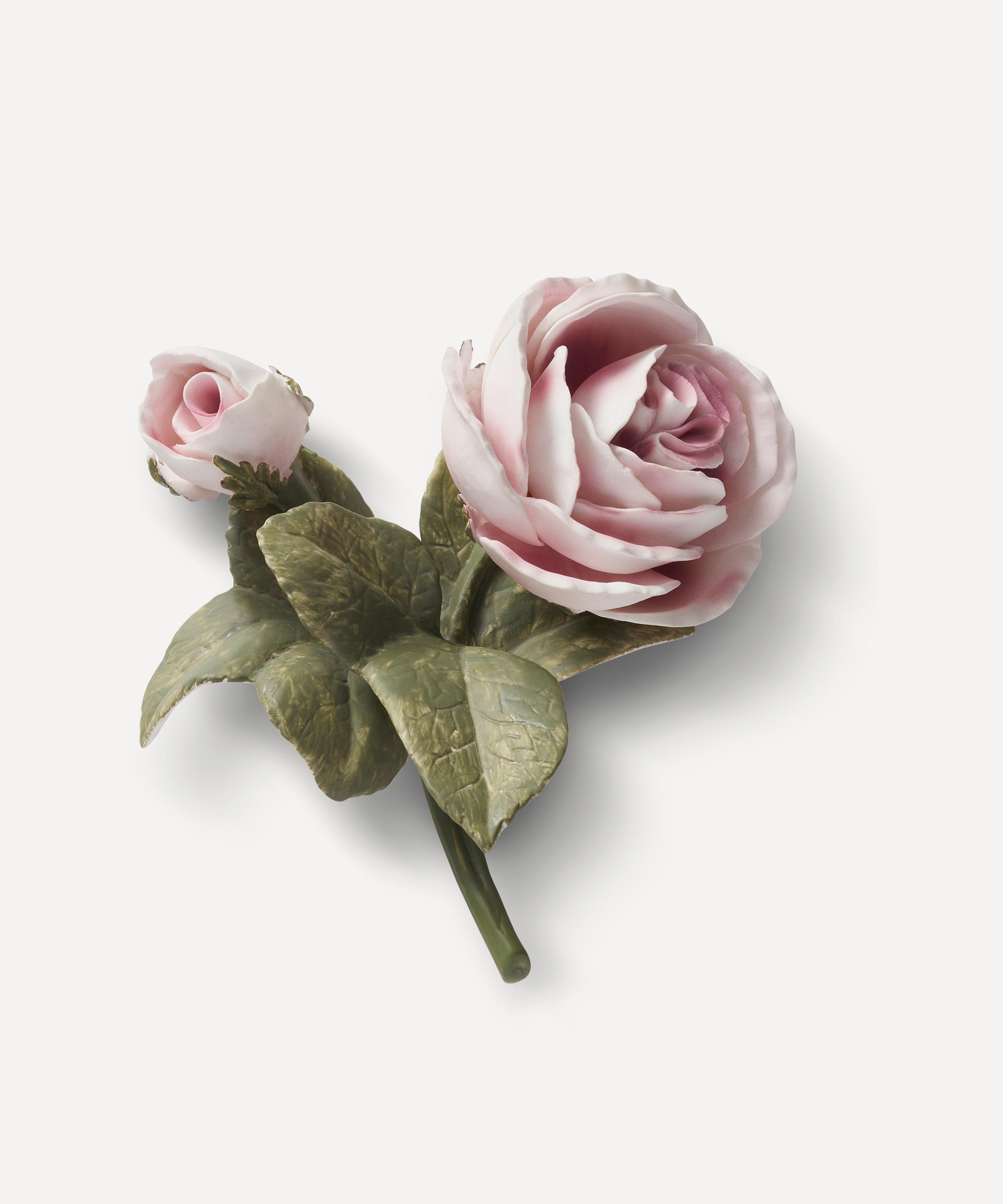 AERIN - Pink Porcelain Rose image number 0