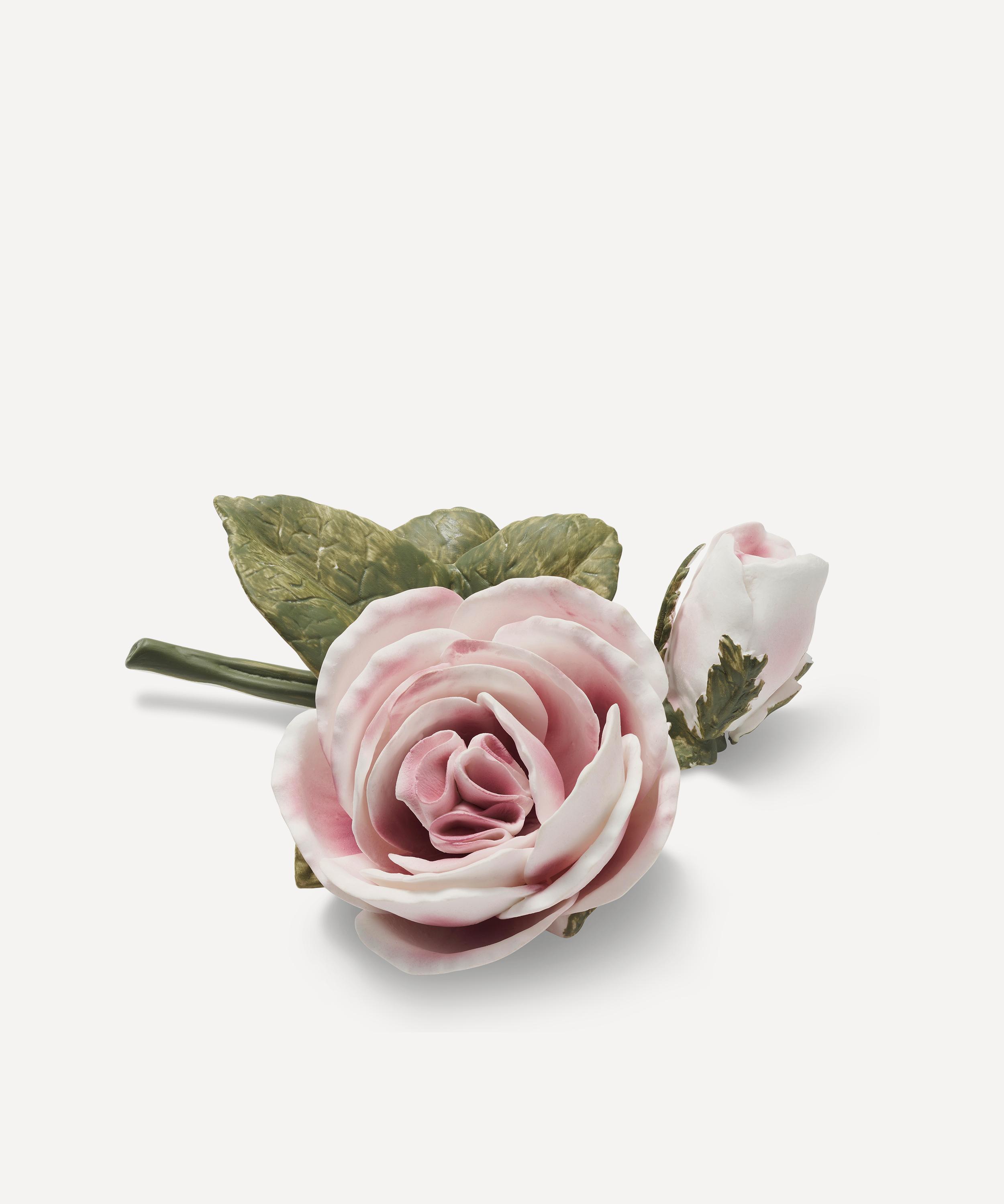 AERIN - Pink Porcelain Rose image number 1