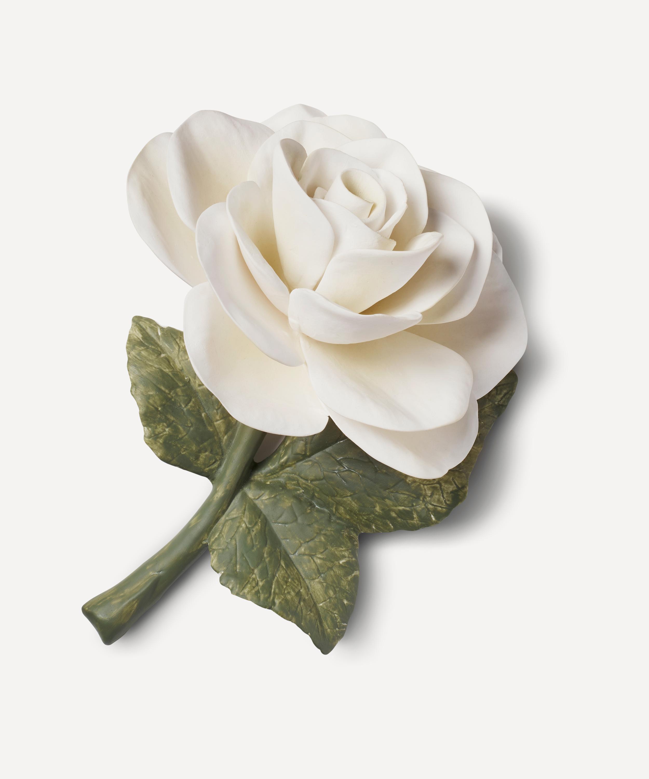 AERIN - Cream Porcelain Rose image number 0