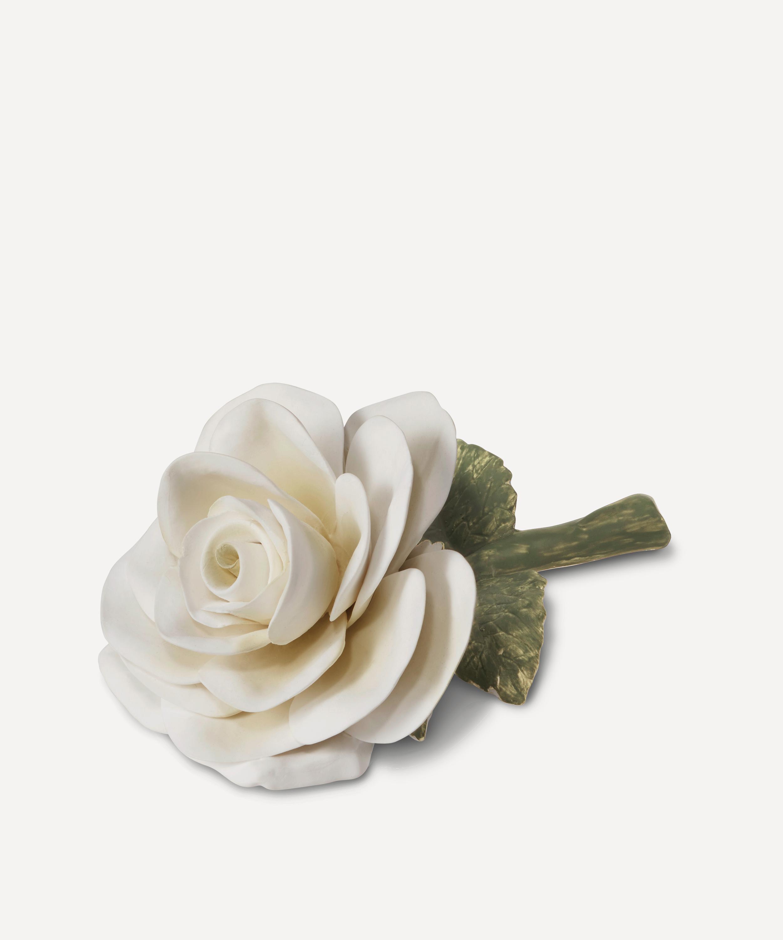 AERIN - Cream Porcelain Rose image number 1