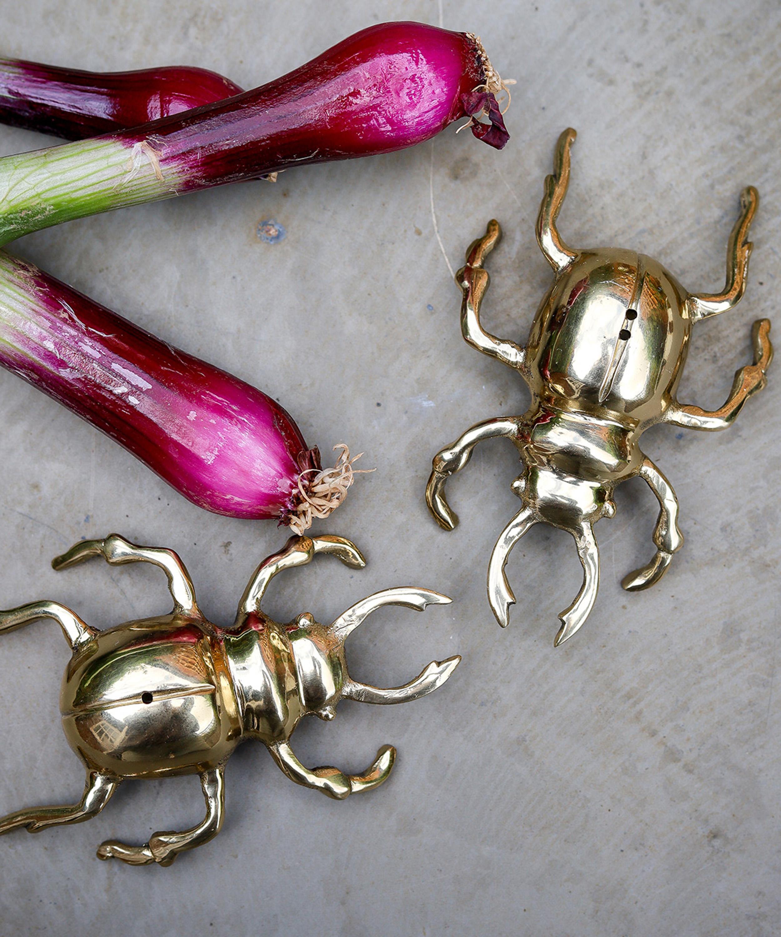 Culinary Concepts - Brass Stag Beetle Salt and Pepper Cruet Set image number 1