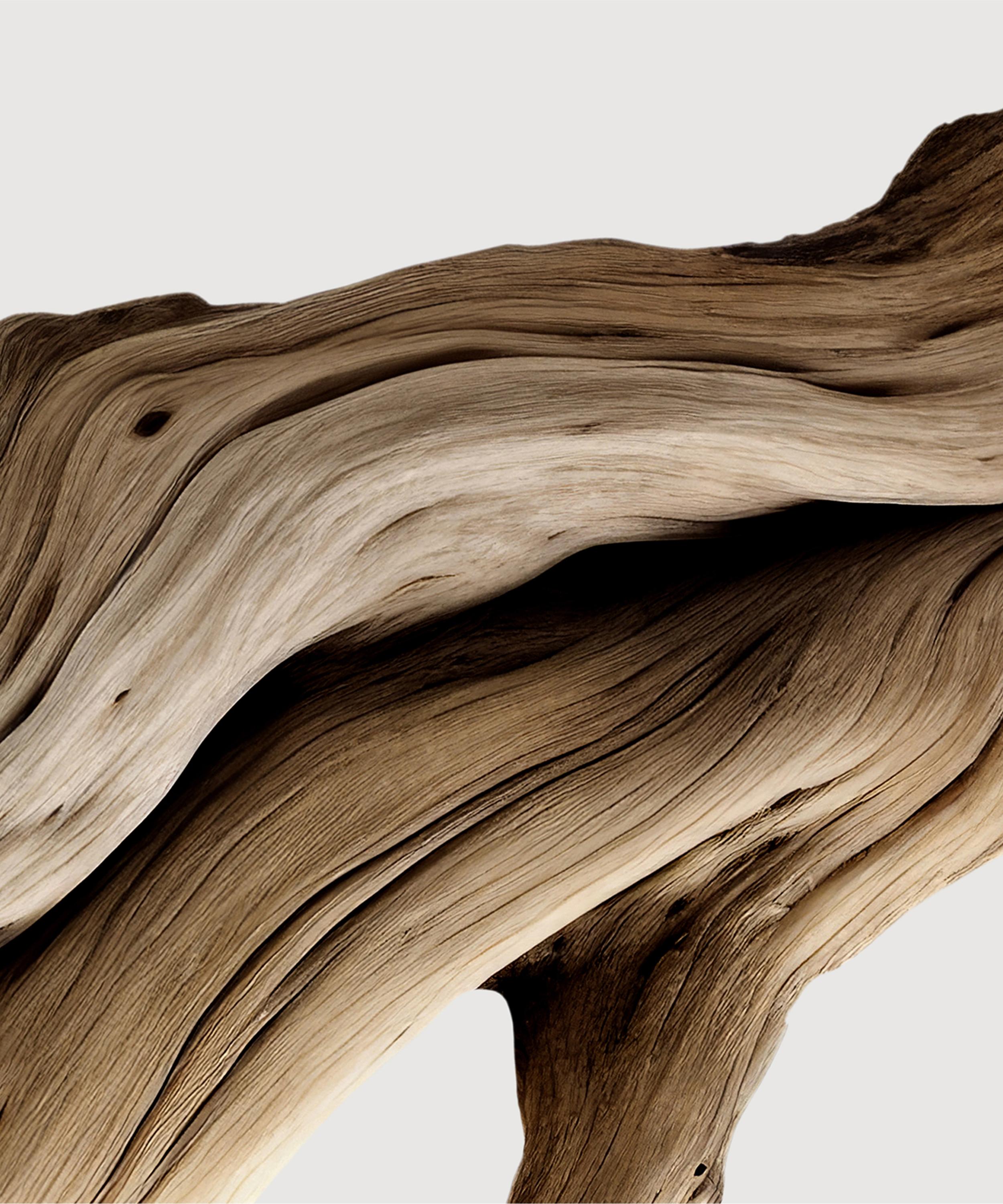 MATIERE PREMIERE - Santal Austral Extrait de Parfum 50ml image number 2