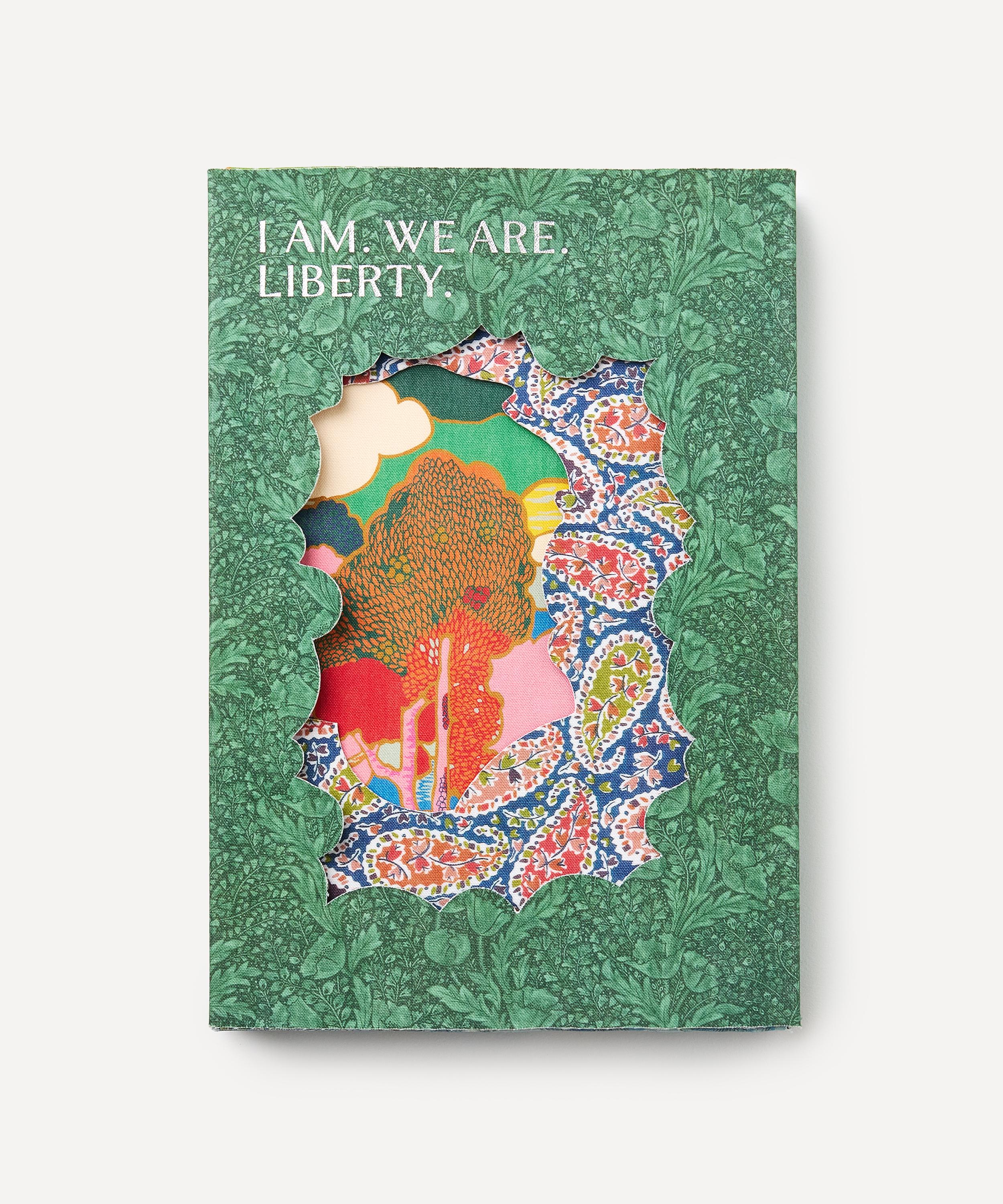 Liberty - I AM WE ARE LIBERTY by Ester Coen image number 0