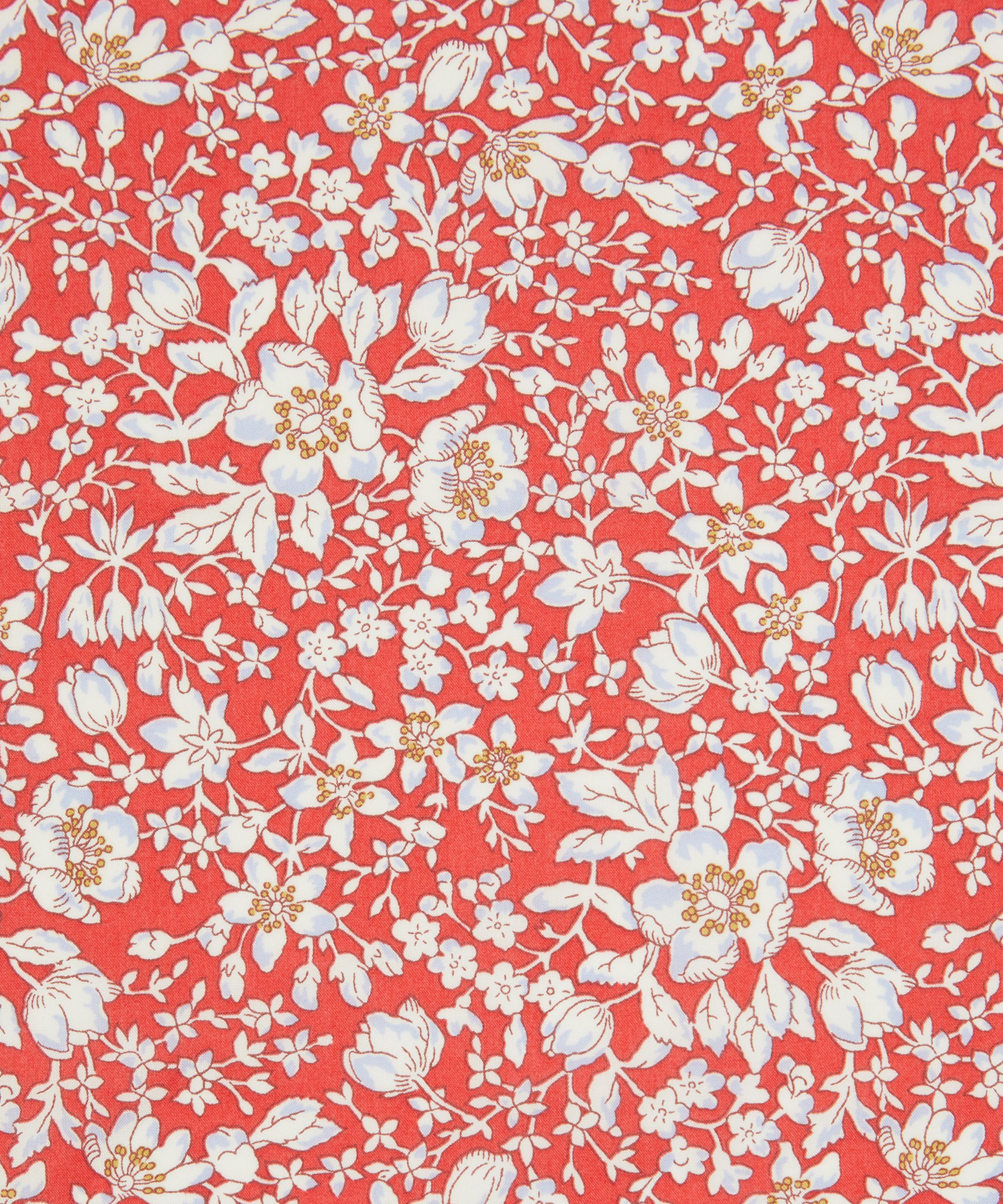 Liberty Fabrics - Lizzy Tana Lawn™ Cotton