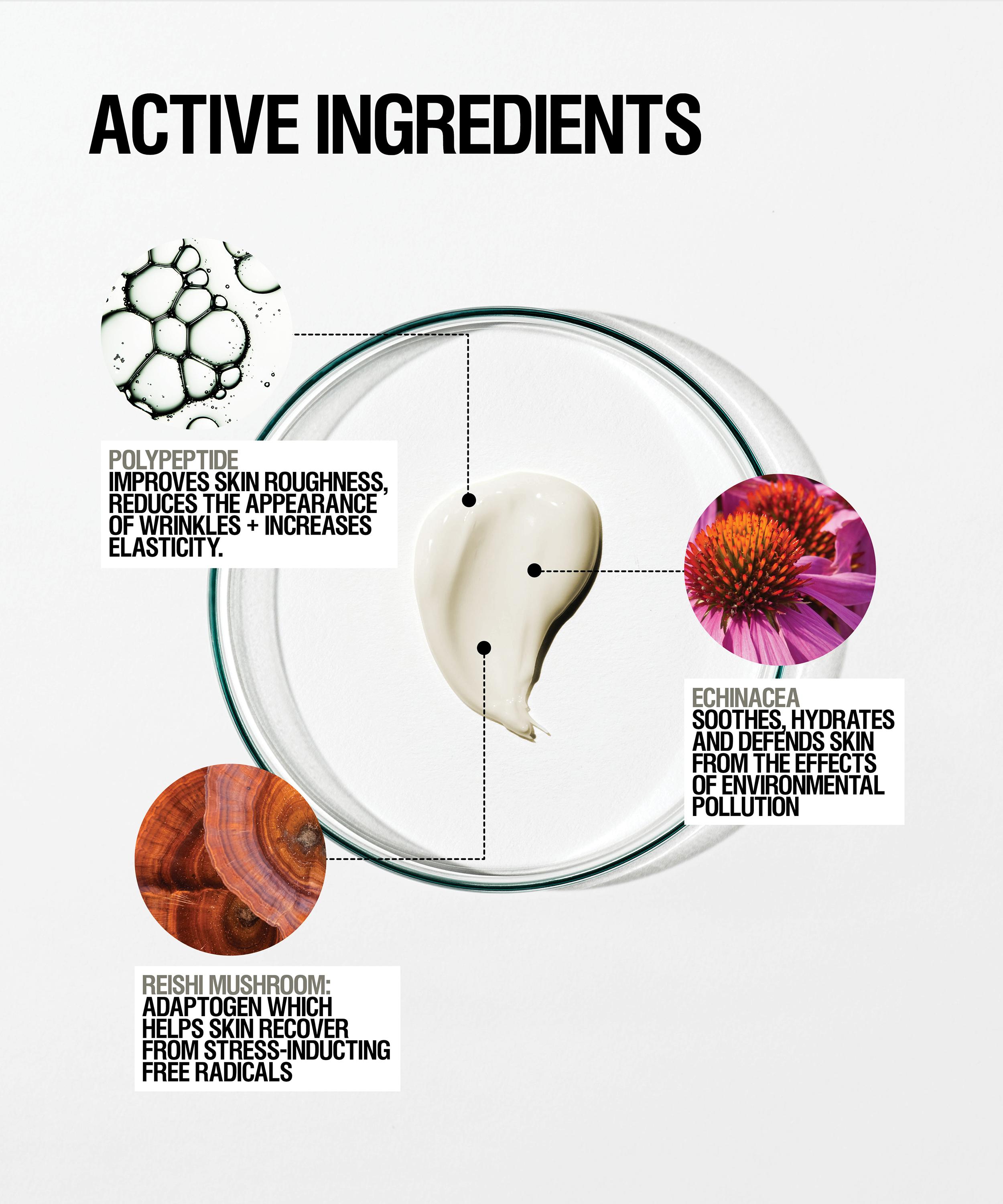 Grown Alchemist - Skin Renewal Night Cream 40ml image number 5