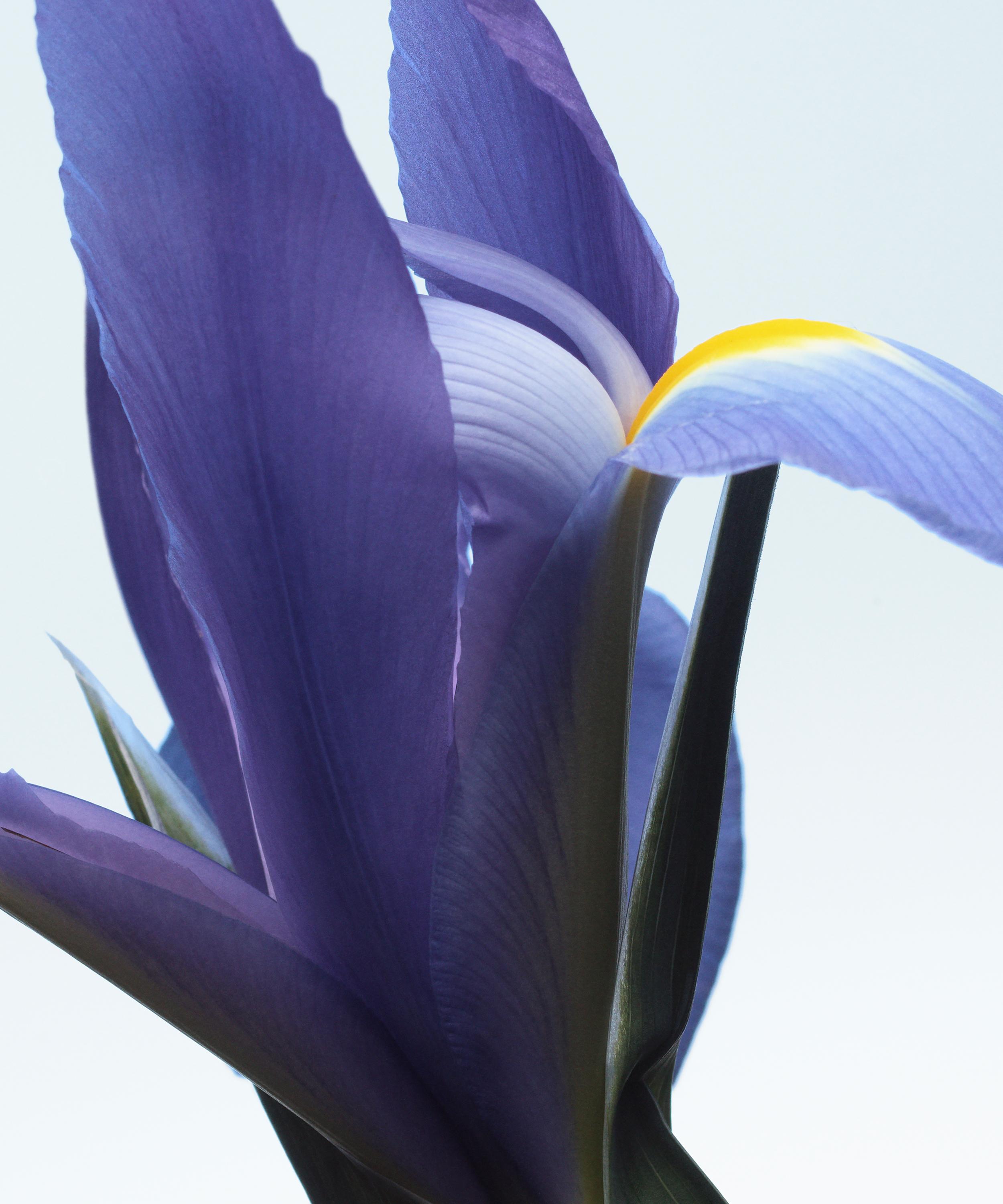 Dries Van Noten - Neon Garden Eau de Parfum 100ml image number 1