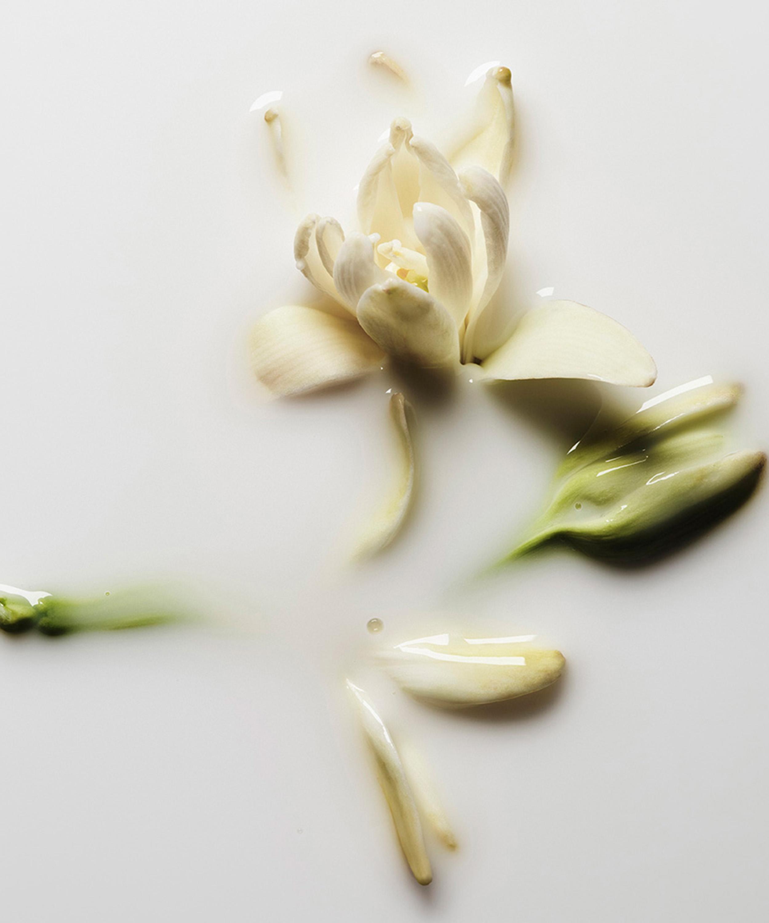 KILIAN PARIS - Good Girl Gone Bad Body Lotion 250ml image number 2