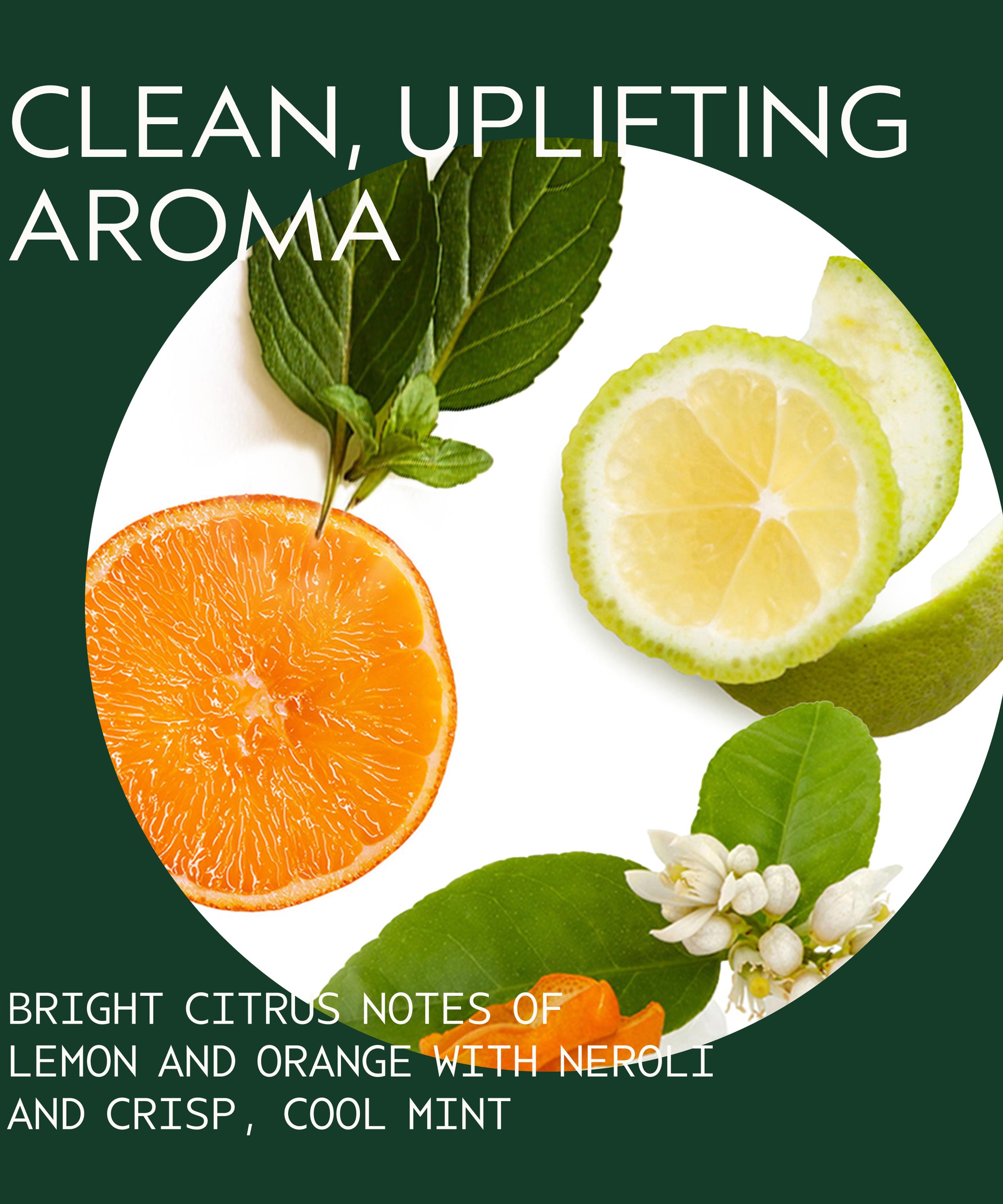 Aveda - Scalp Serenity Scalp Solutions™ Balancing Essentials image number 5