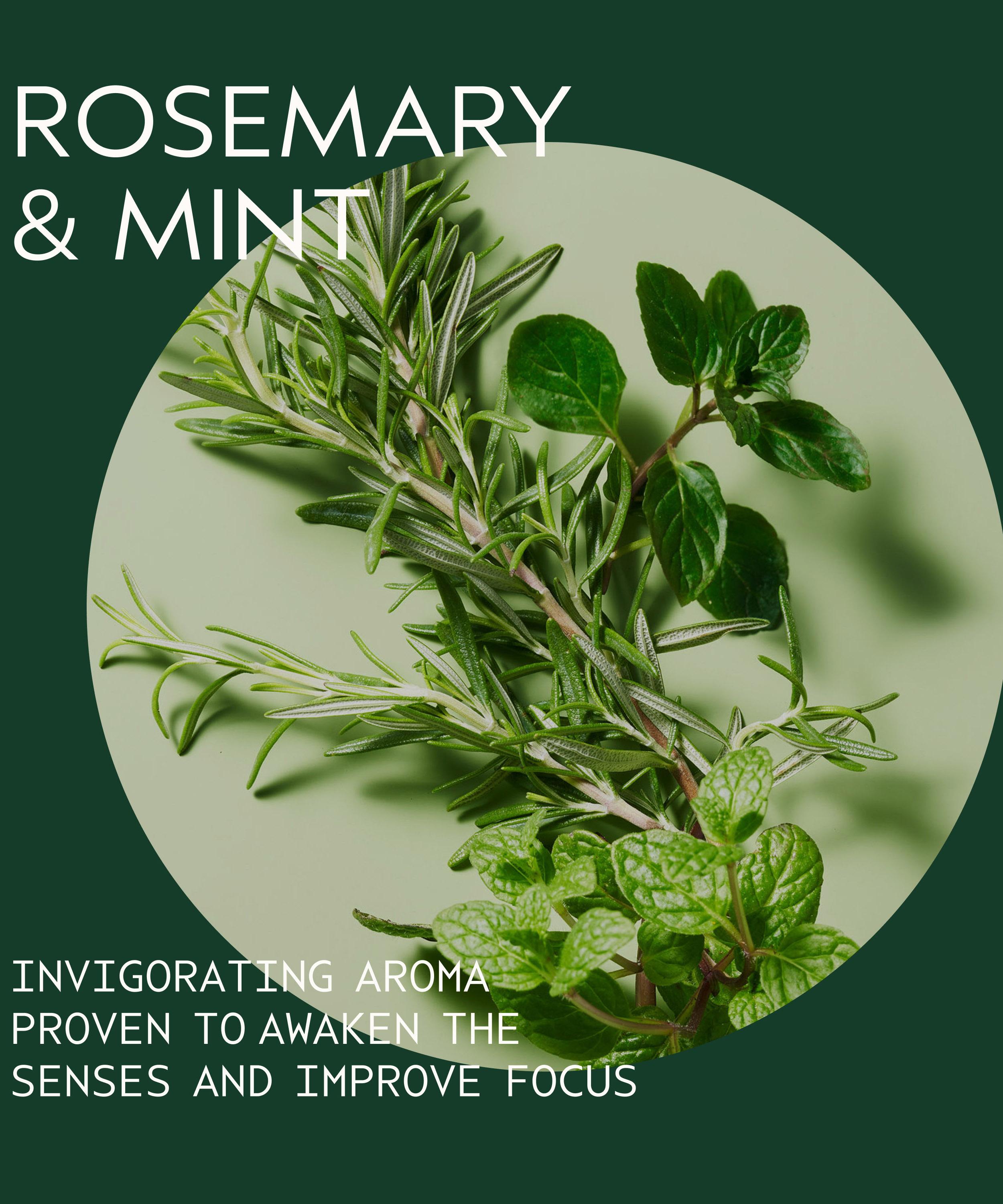 Aveda - Invigorating Awe Rosemary Mint Hair and Body Essentials image number 2