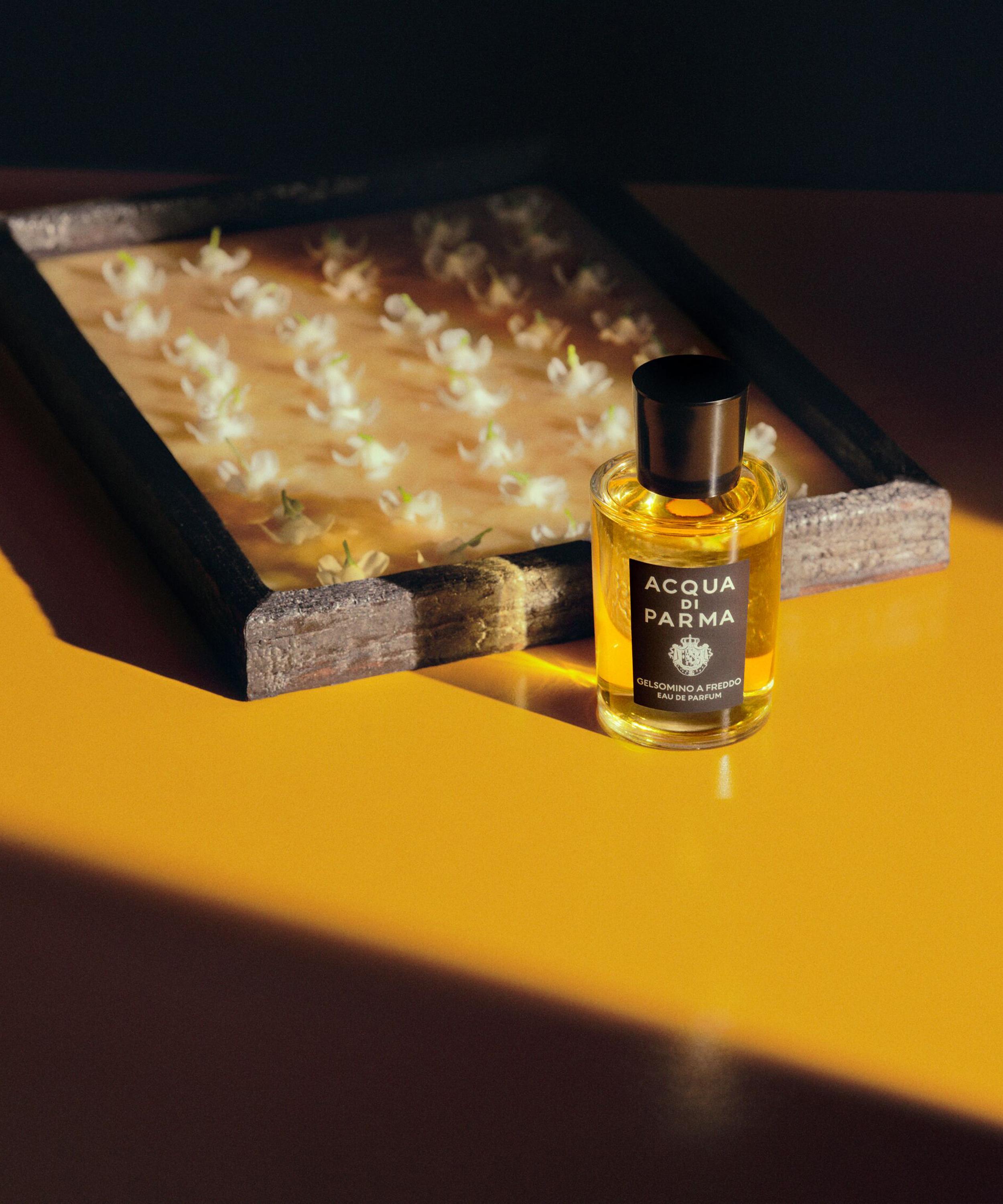Acqua Di Parma - Gelsomino A Freddo Eau de Parfum 100ml image number 2