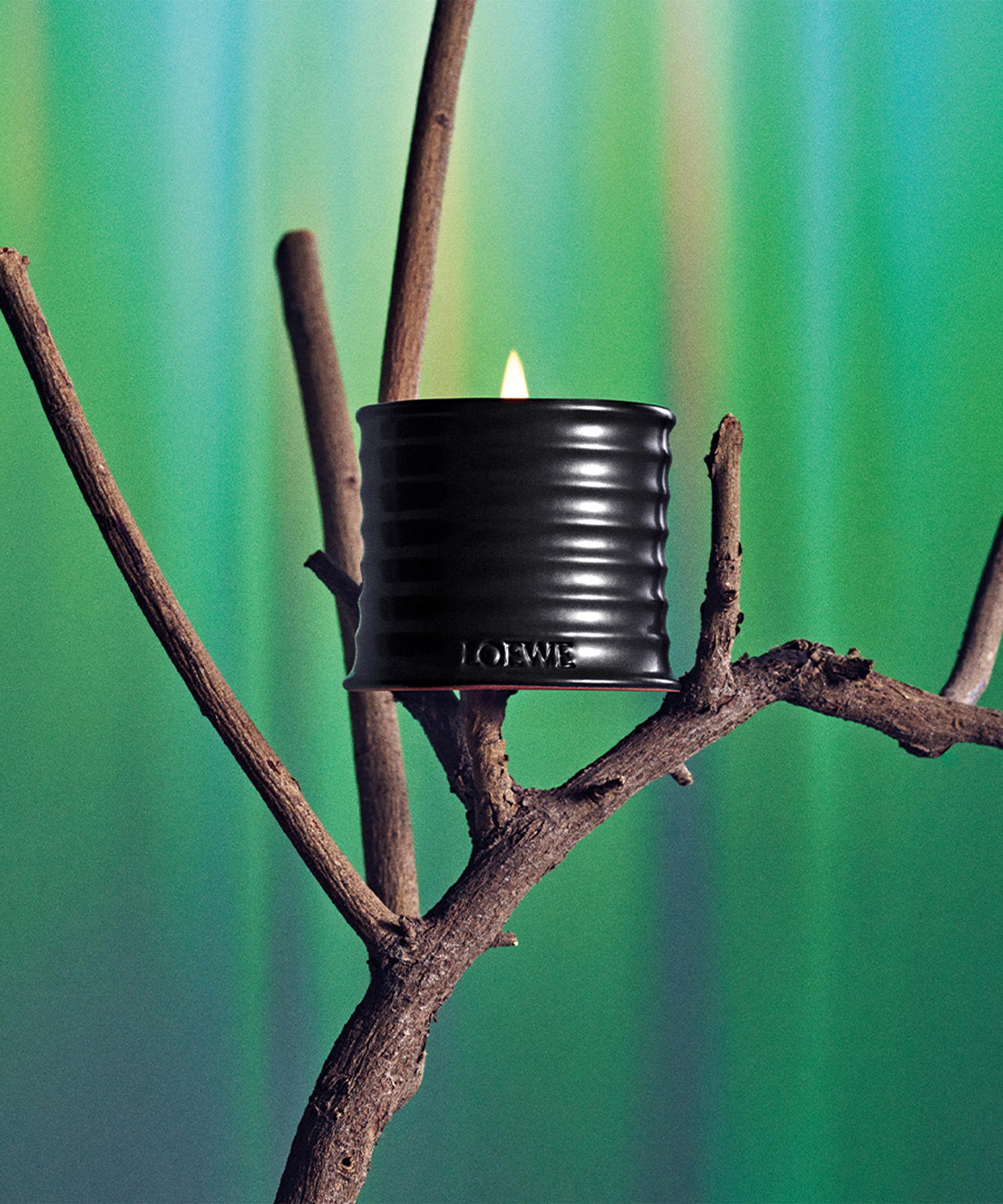 Loewe - Palo Santo Scented Small Candle 170g image number 3