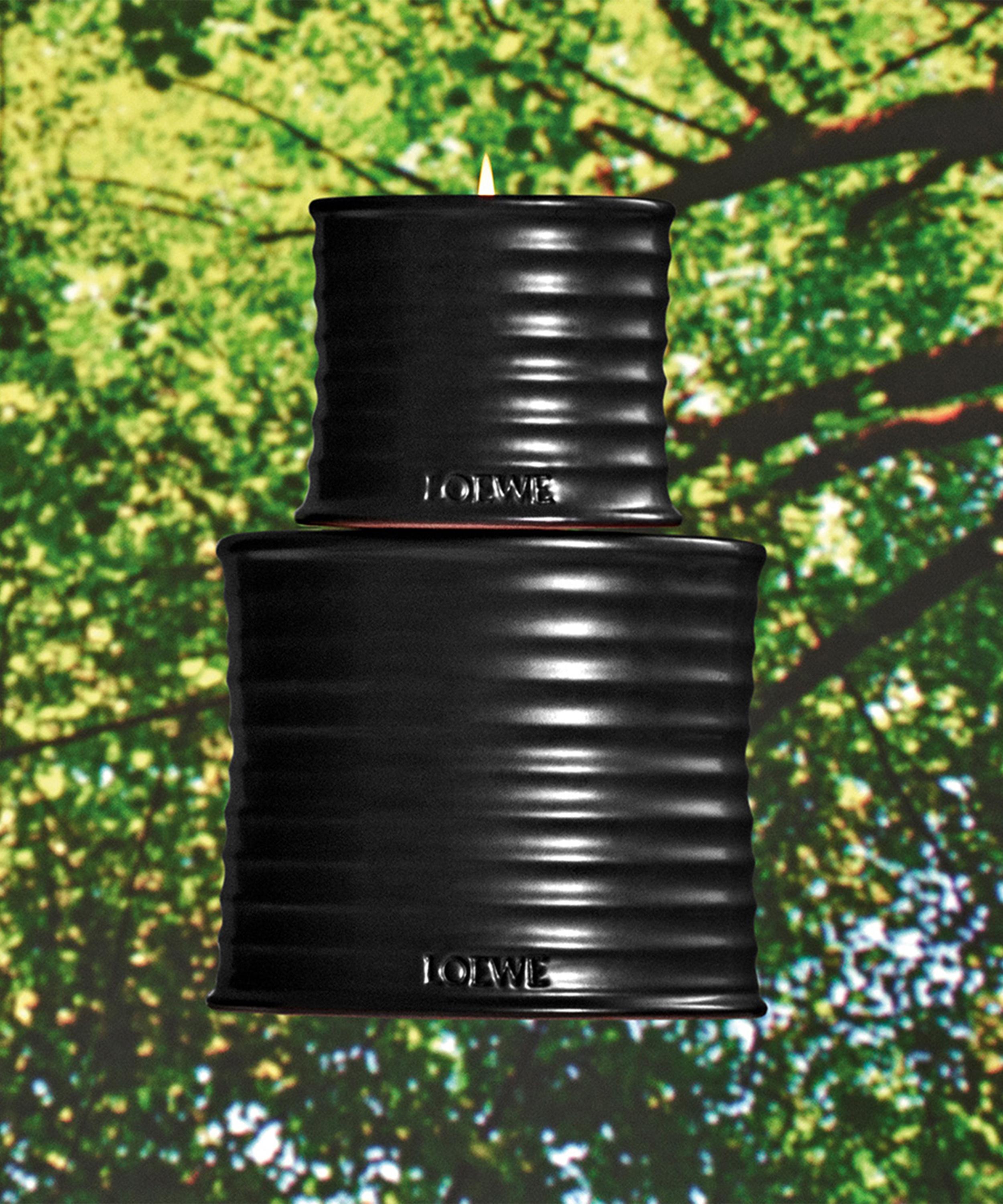 Loewe - Palo Santo Scented Small Candle 170g image number 4