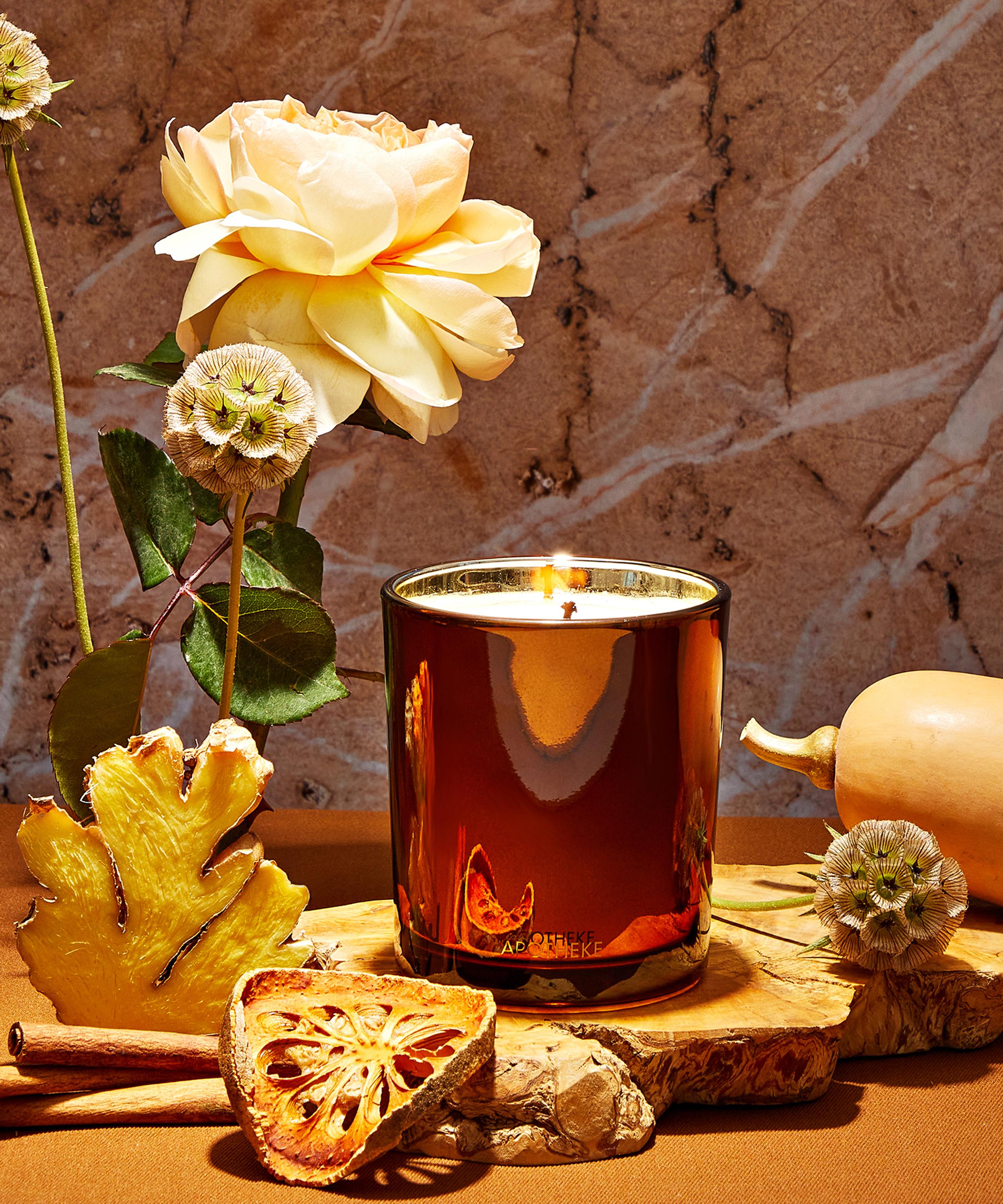 Apotheke - Pumpkin Ginger Classic Scented Candle image number 1