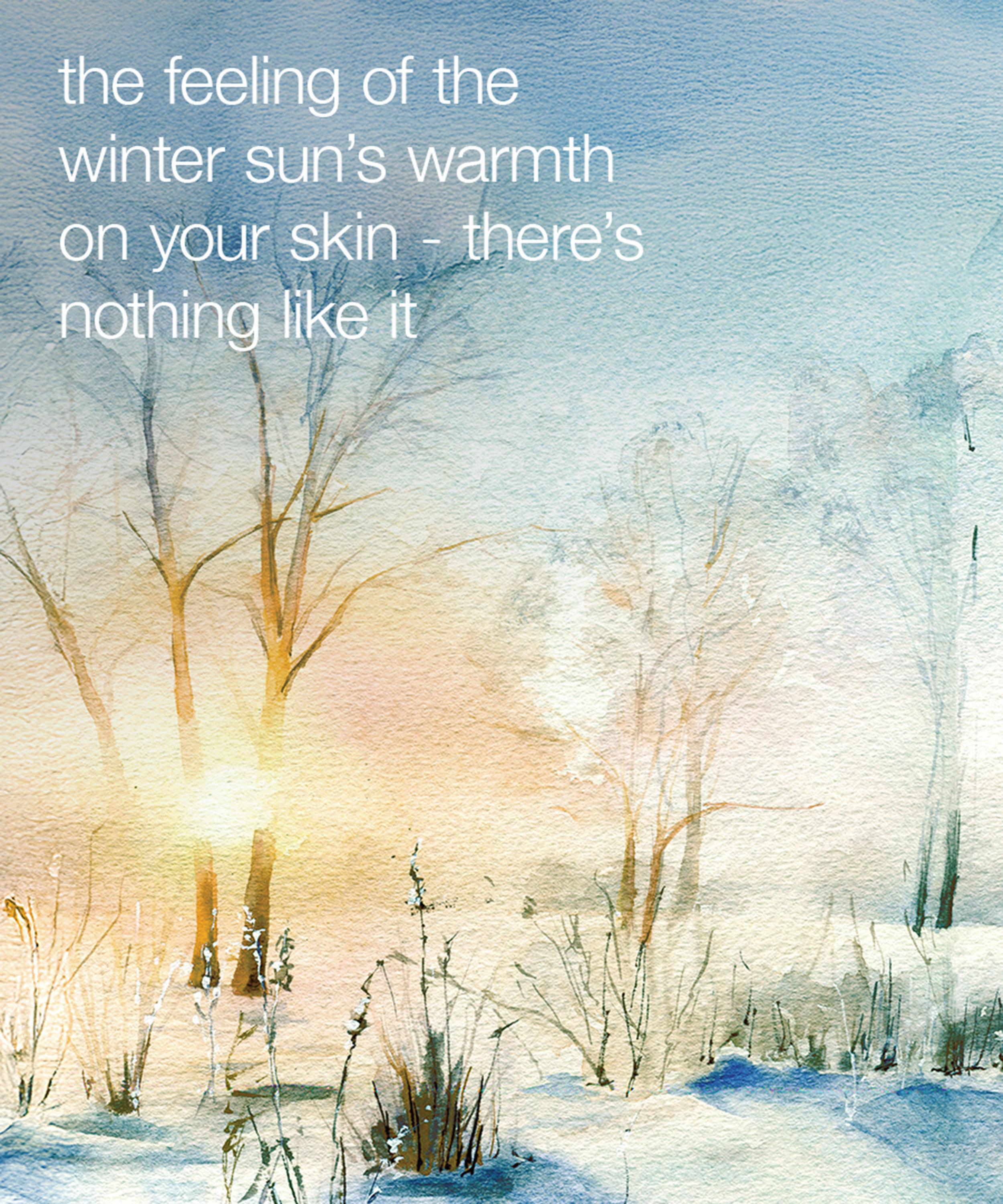 Dermalogica - Warmth Of The Winter Sun Gift Set image number 8