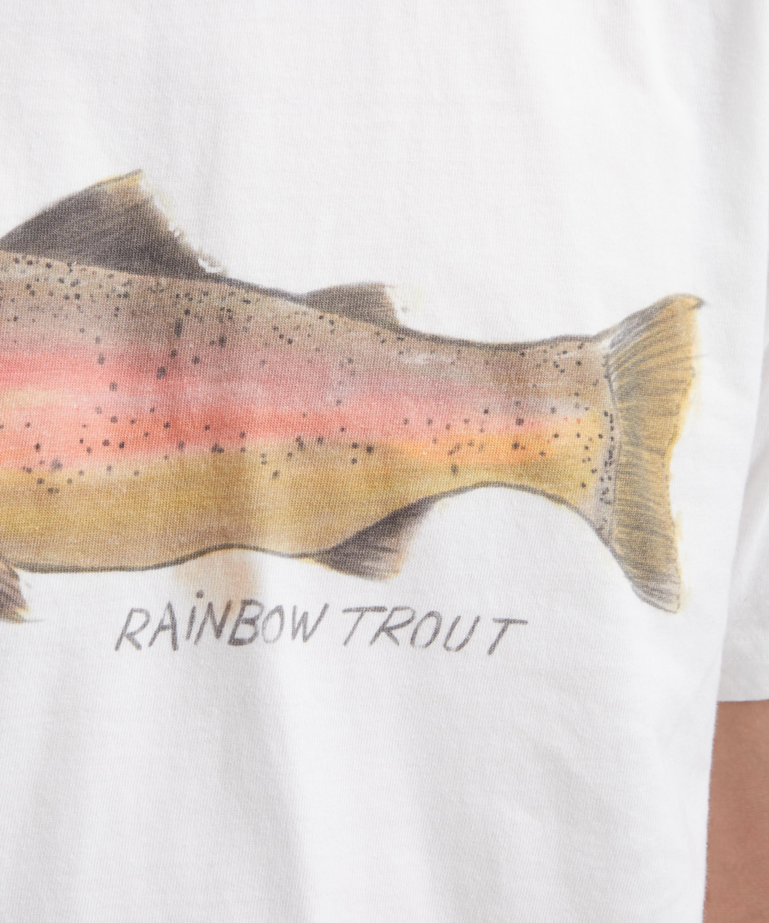 Kapital - Jersey Trout Peckish Rainbowy Crew T-Shirt image number 4