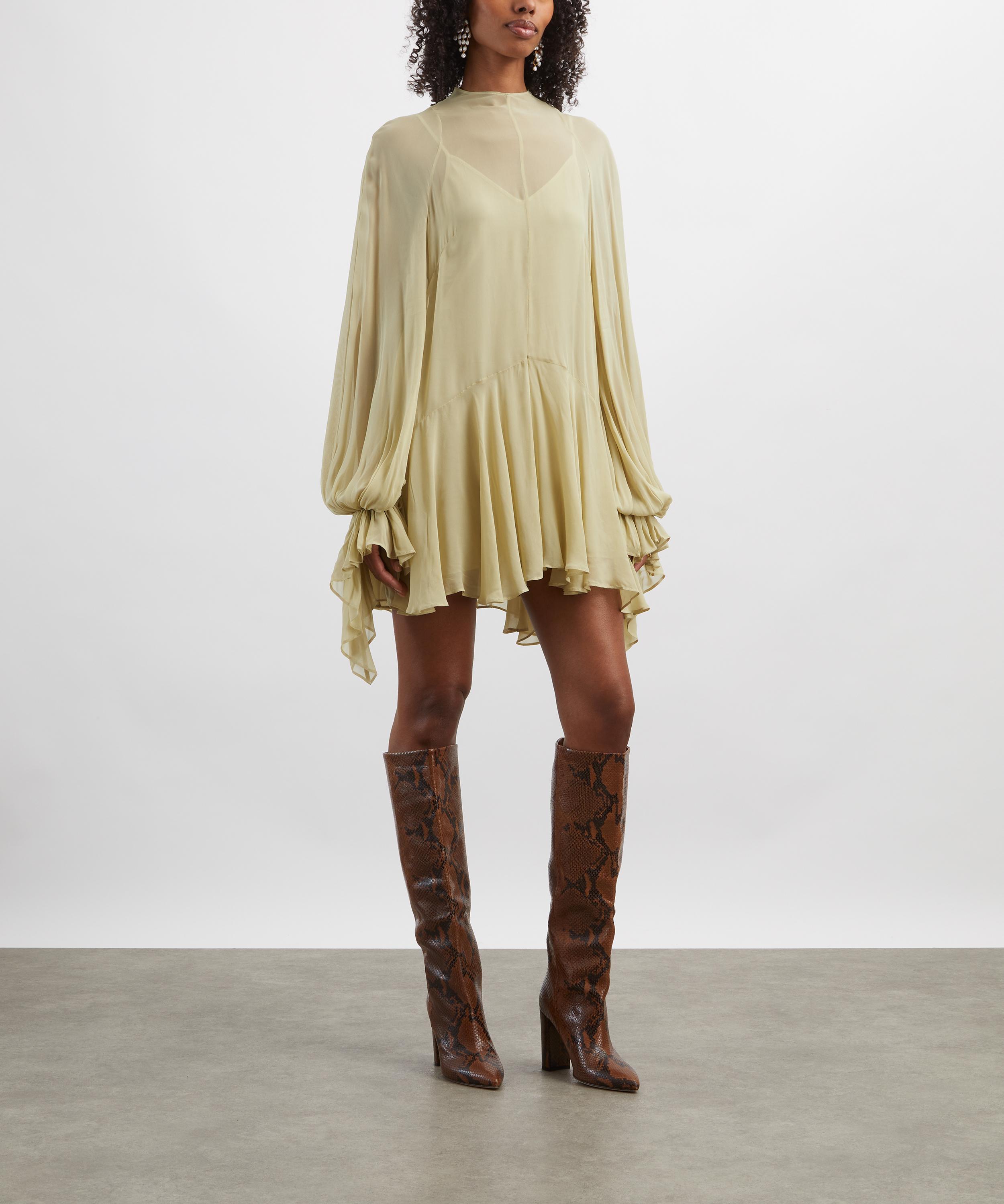 De La Vali - Terran Chiffon Mini Dress image number 1