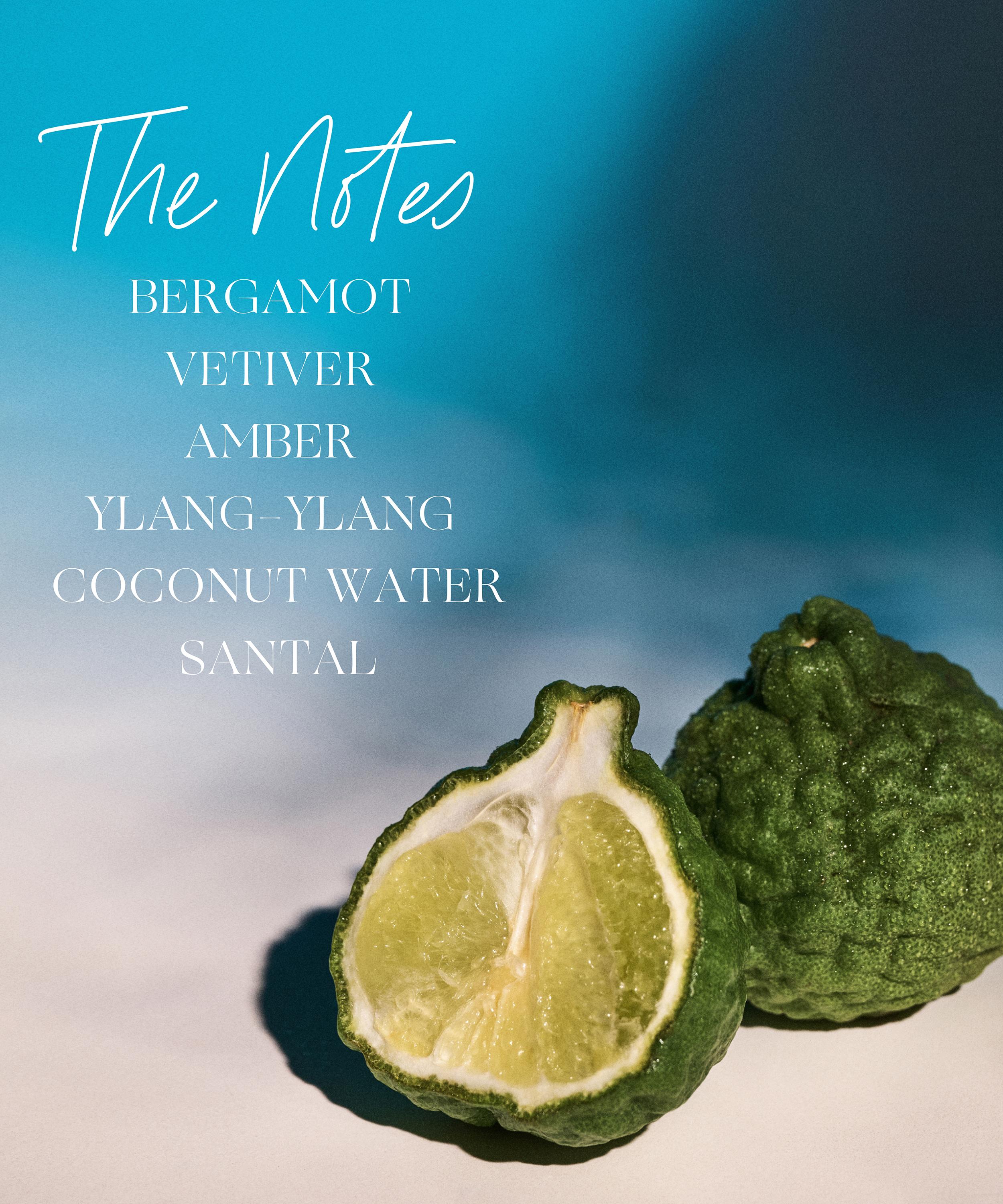 VIOLETTE_FR - Parfum Avec Amour 15ml image number 2