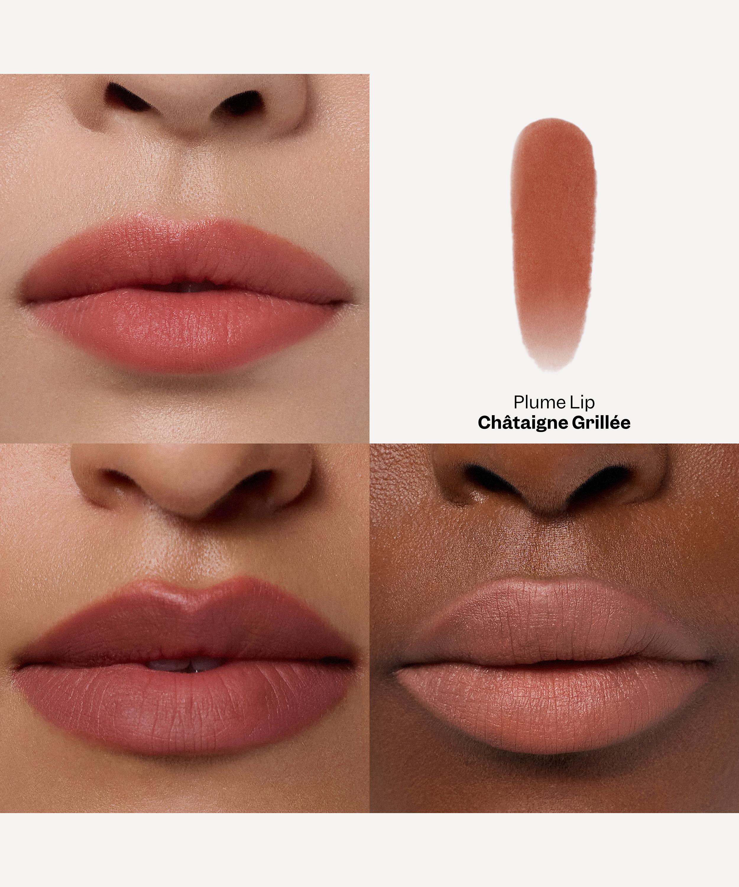VIOLETTE_FR - Plume Lip 3.3g image number 1