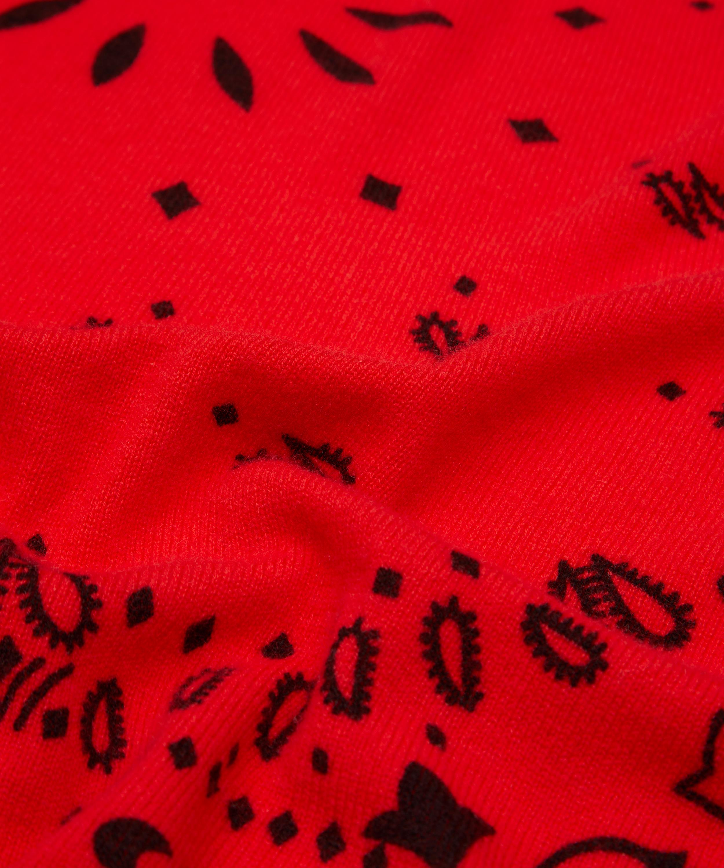 Kujten - Large Hachiko Black Printed Cashmere Bandana image number 3