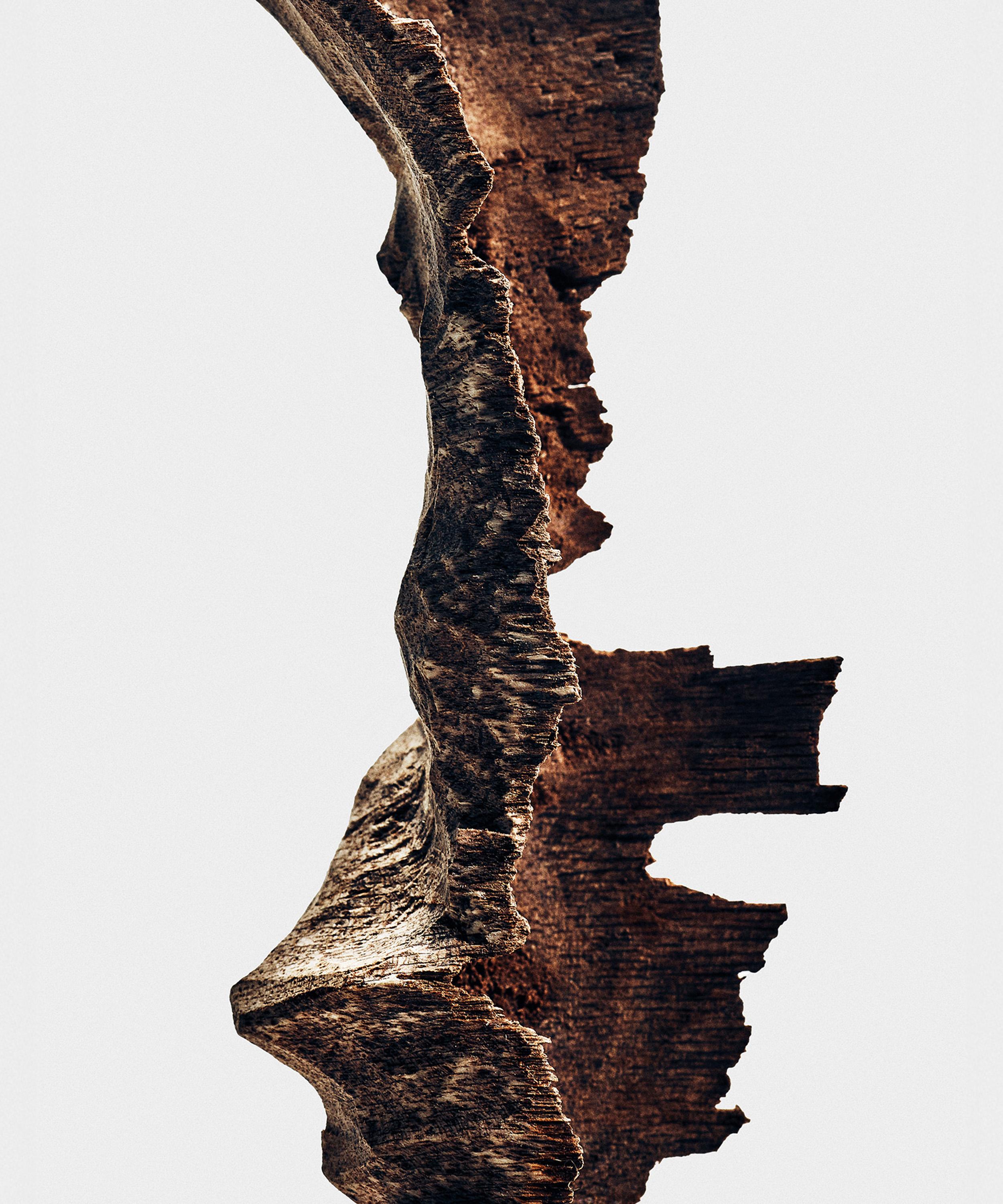 Loewe - Bittersweet Oud Eau de Parfum 100ml image number 5